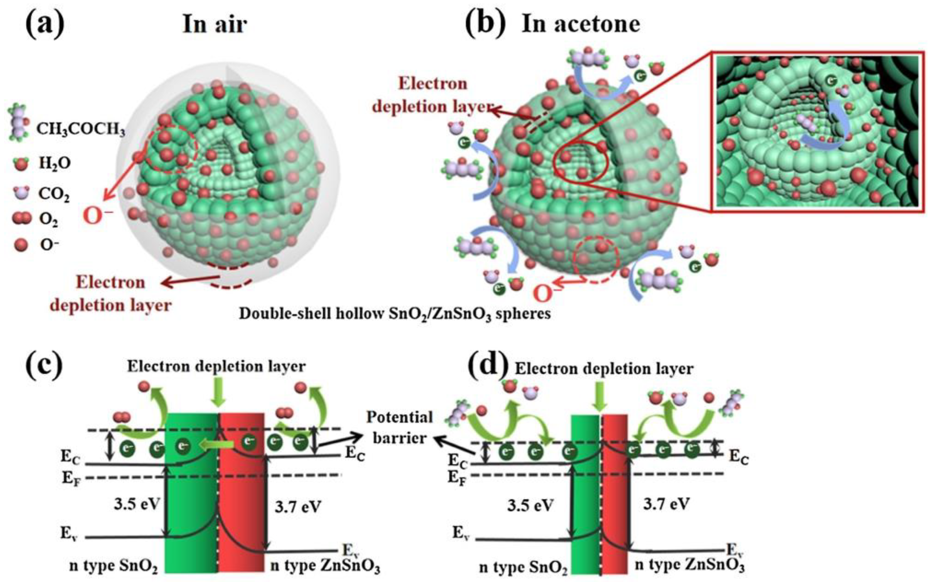 Molecules 28 01150 g005 Molecules 28 01150 g005