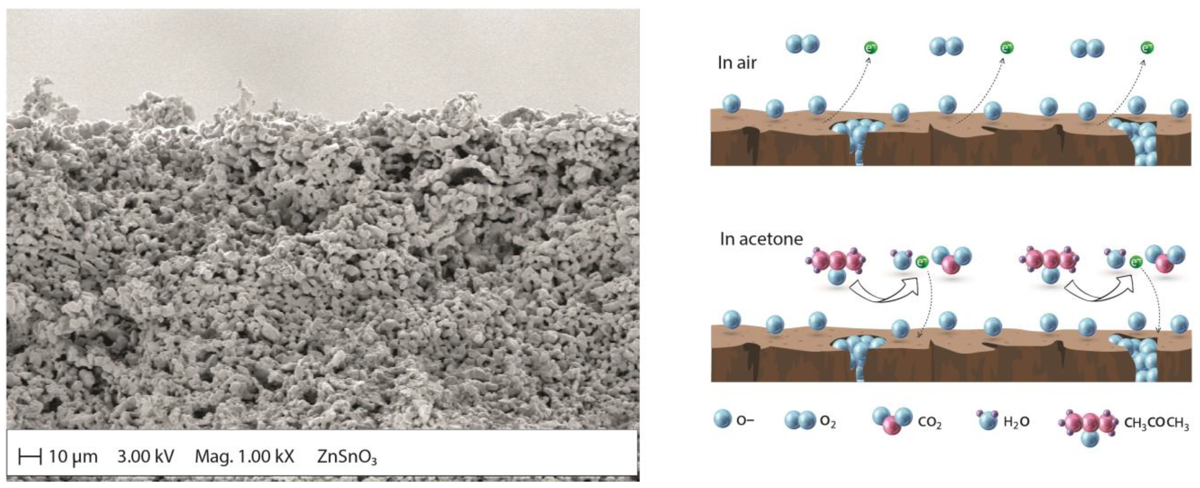 Molecules 28 01150 g006 Molecules 28 01150 g006