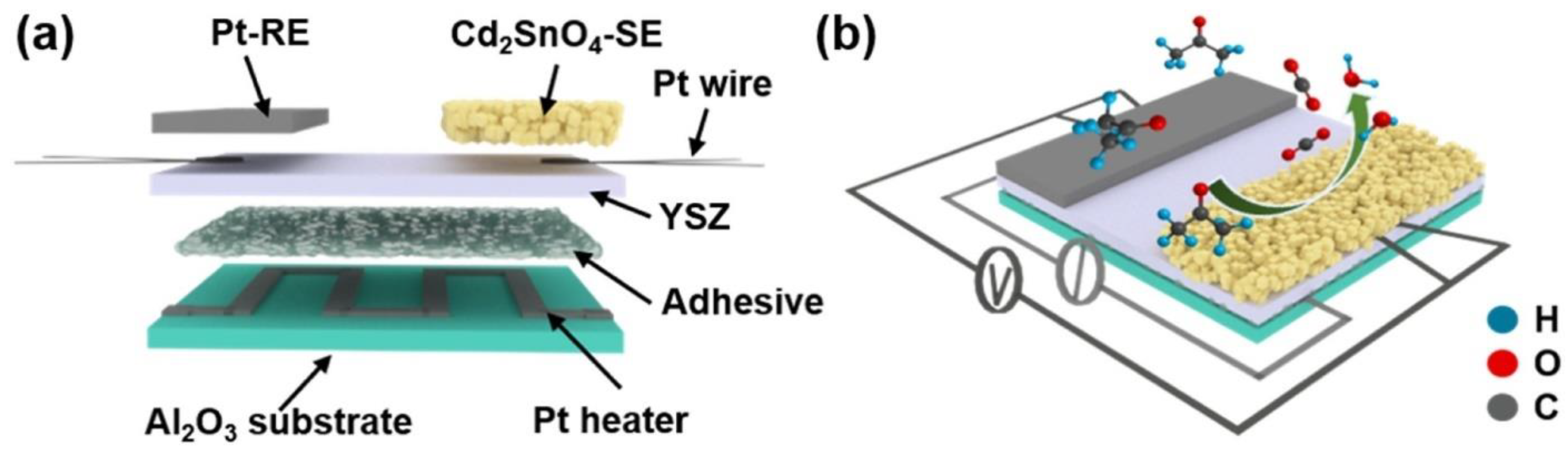 Molecules 28 01150 g007 Molecules 28 01150 g007