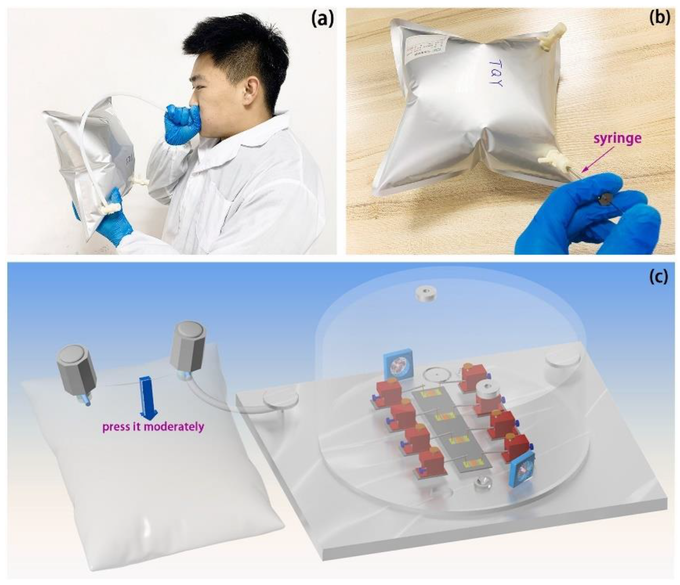 Molecules 28 01150 g011 Molecules 28 01150 g011
