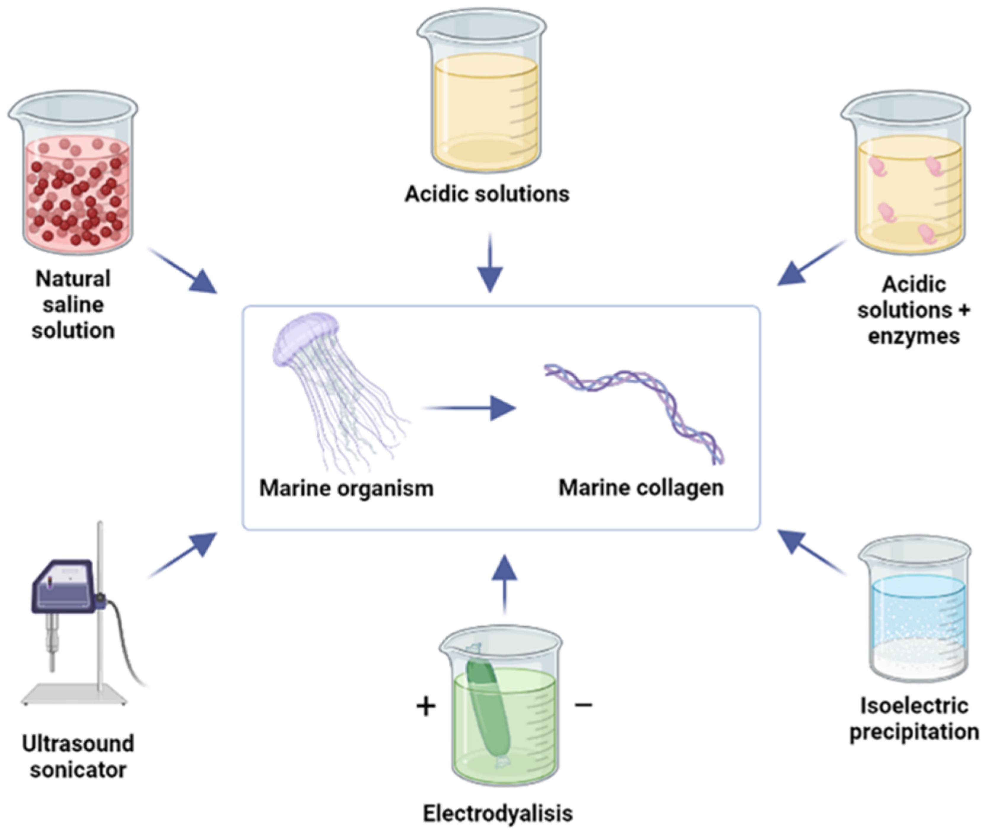 Molecules 28 01152 g004 Molecules 28 01152 g004
