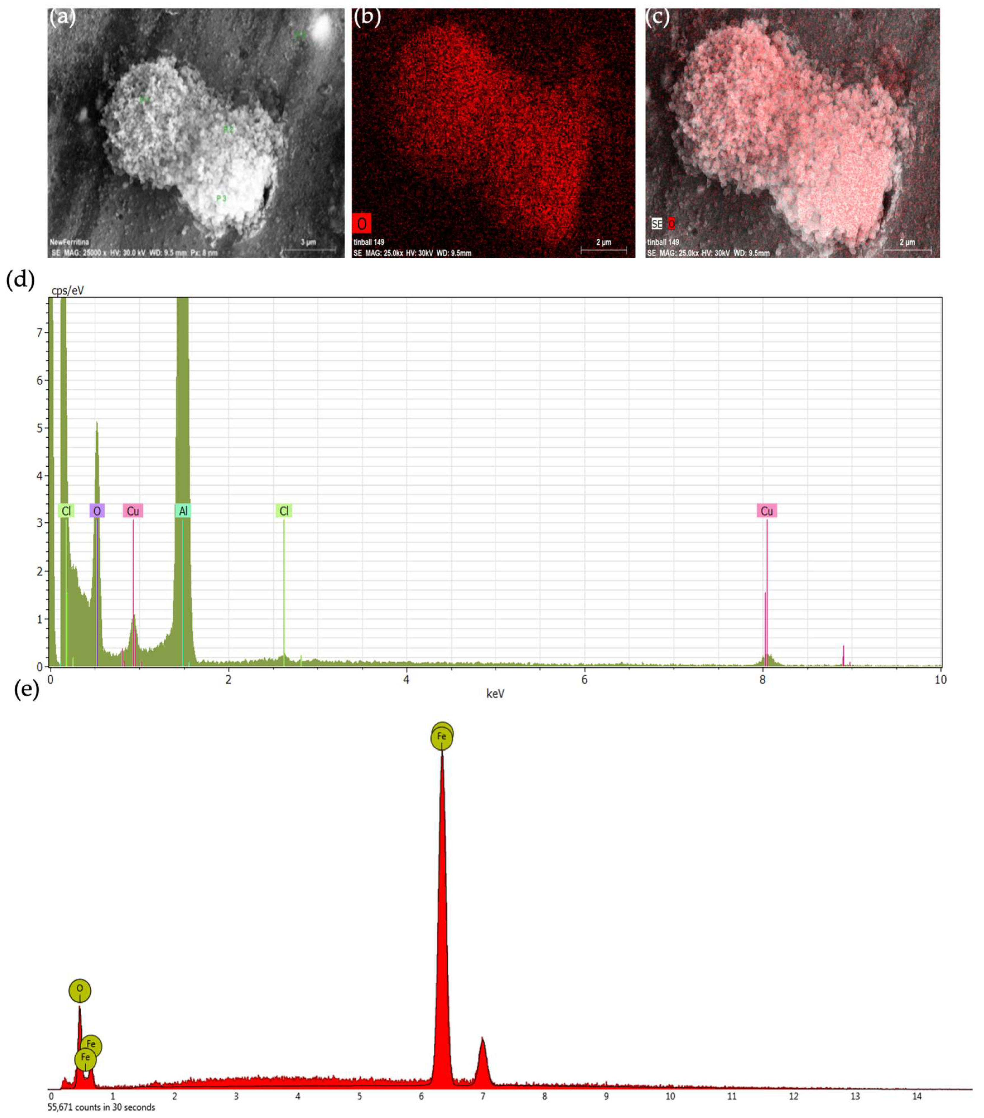 Molecules 28 01163 g006 Molecules 28 01163 g006
