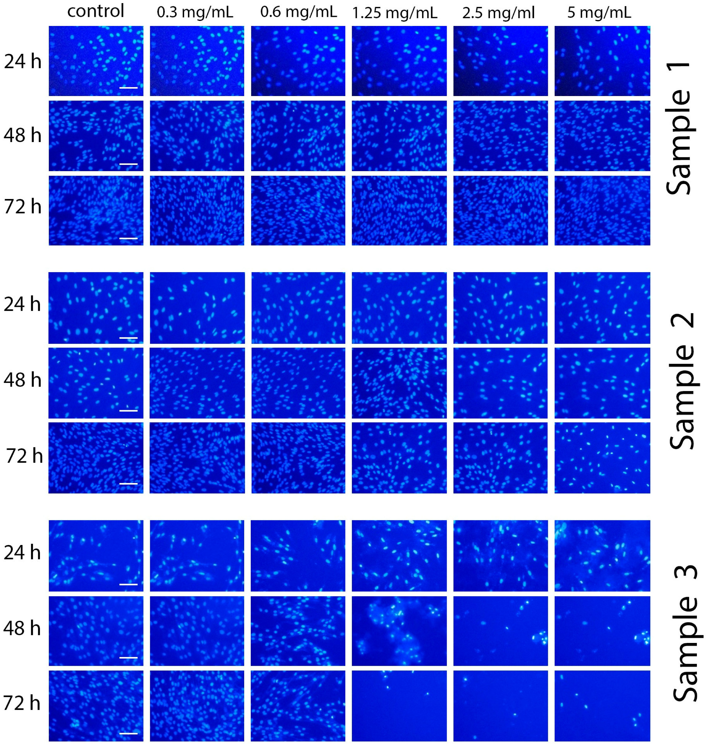 Molecules 28 01165 g008
