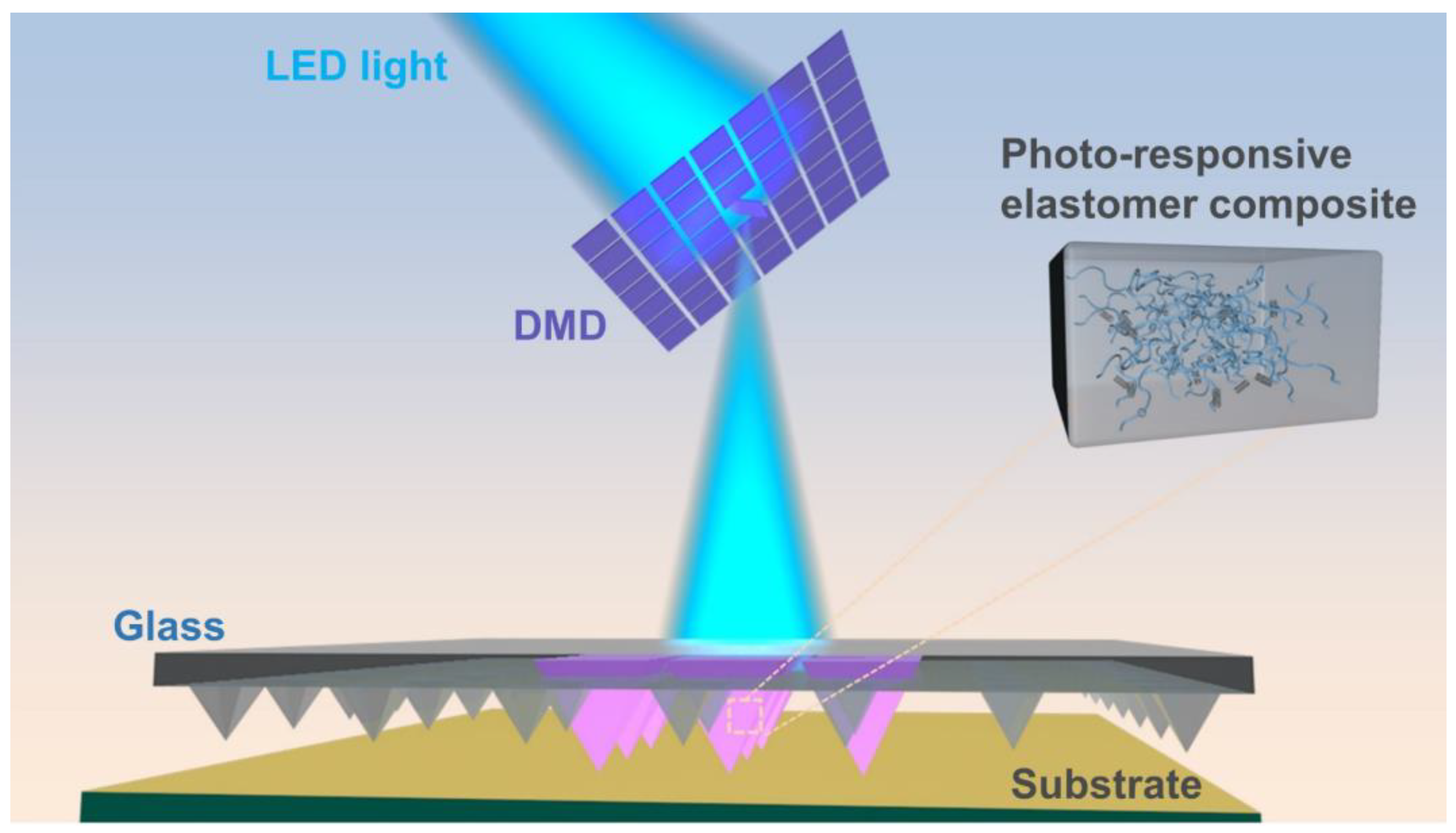 Molecules 28 01171 g001