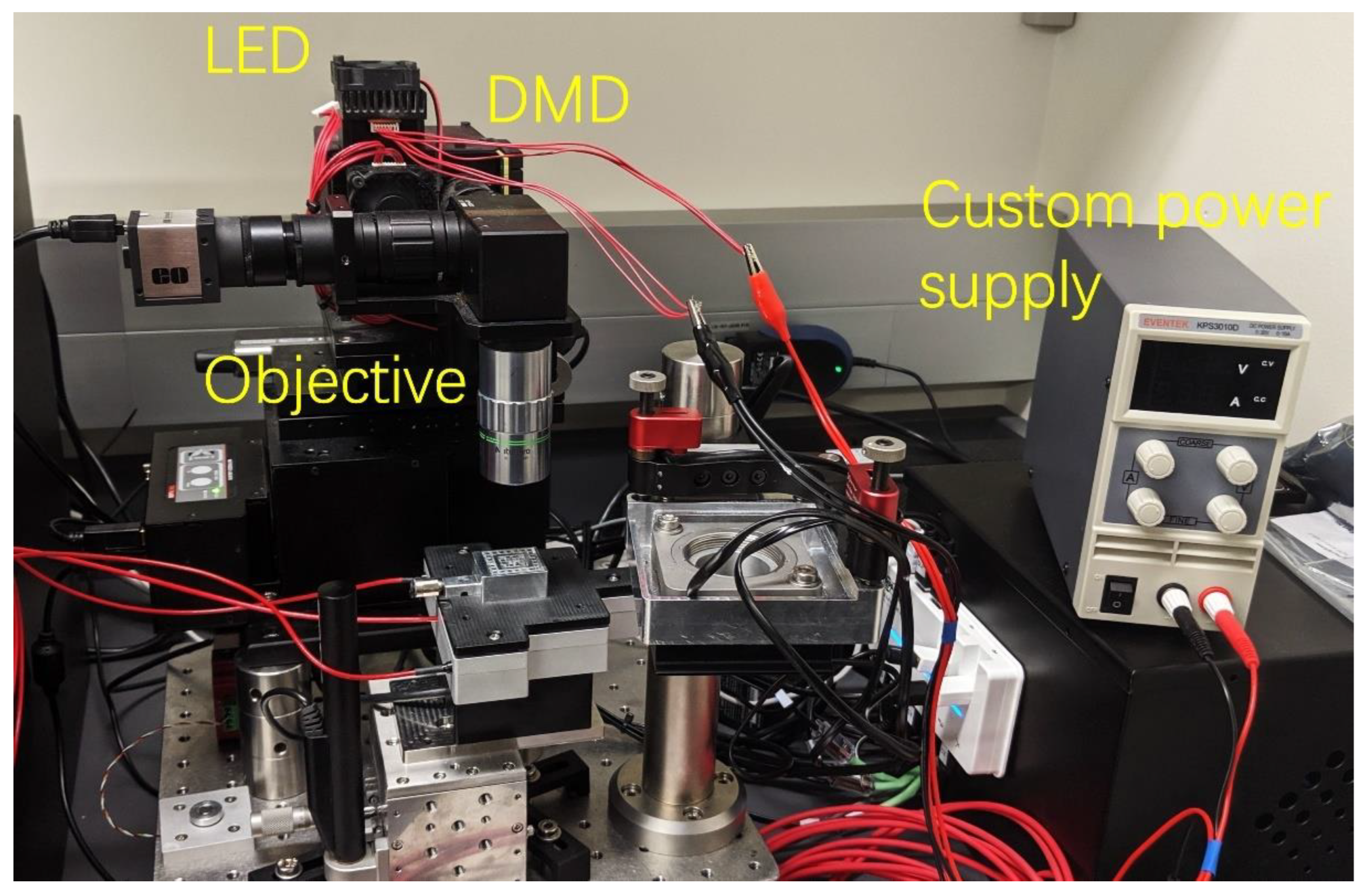 Molecules 28 01171 g004