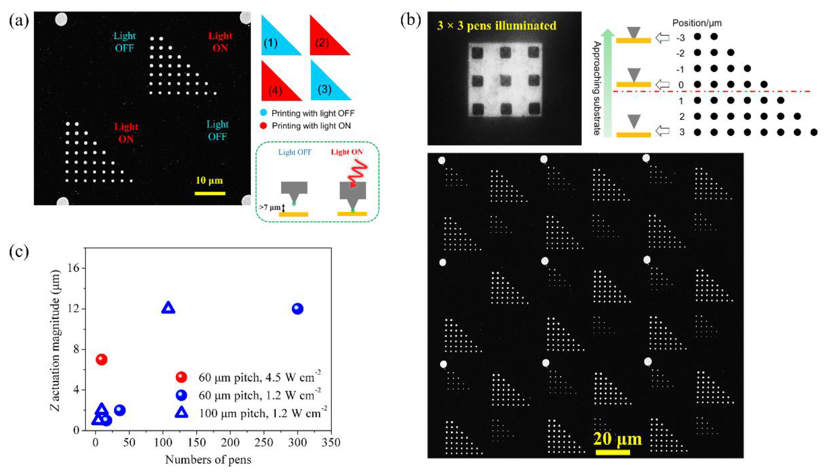 Molecules 28 01171 g005