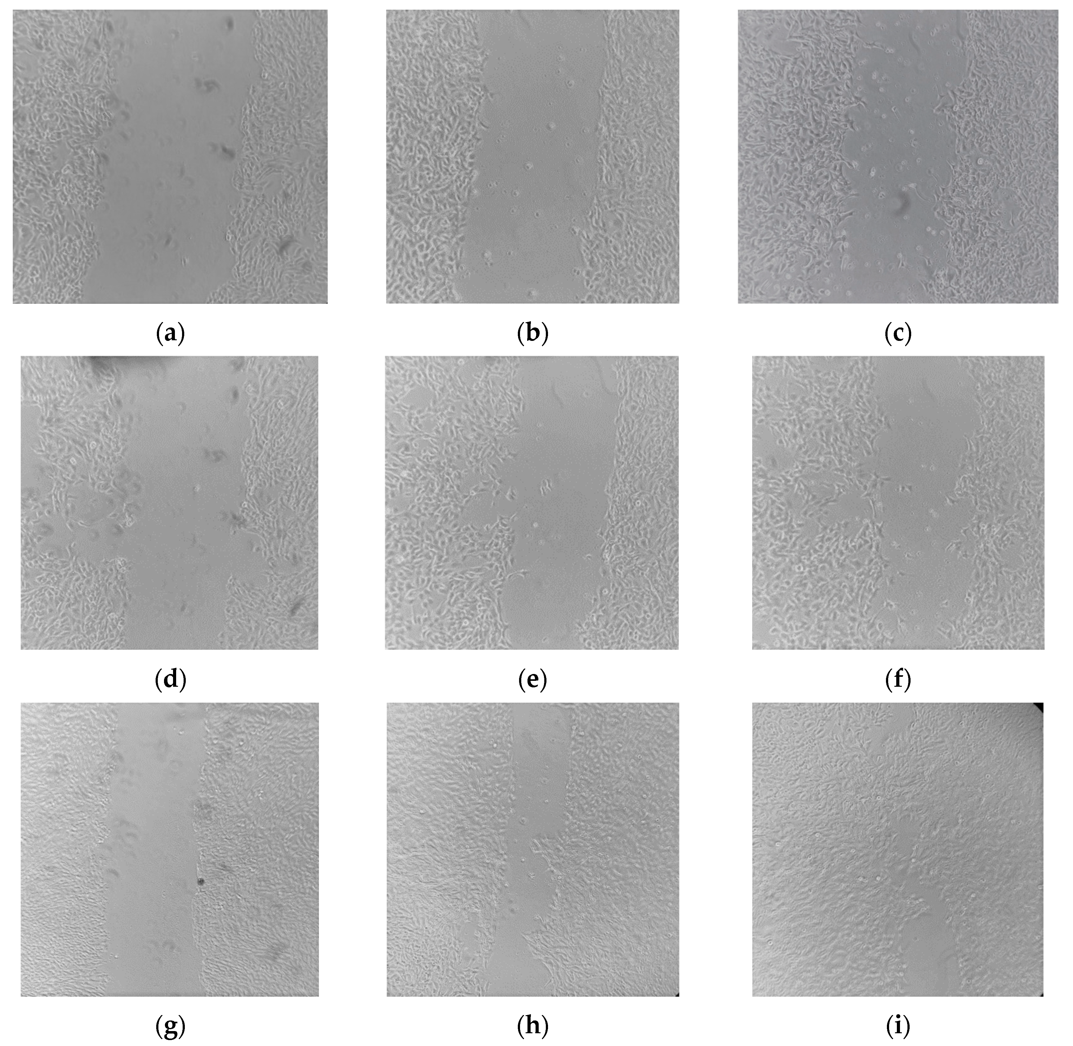 Molecules 28 01177 g006