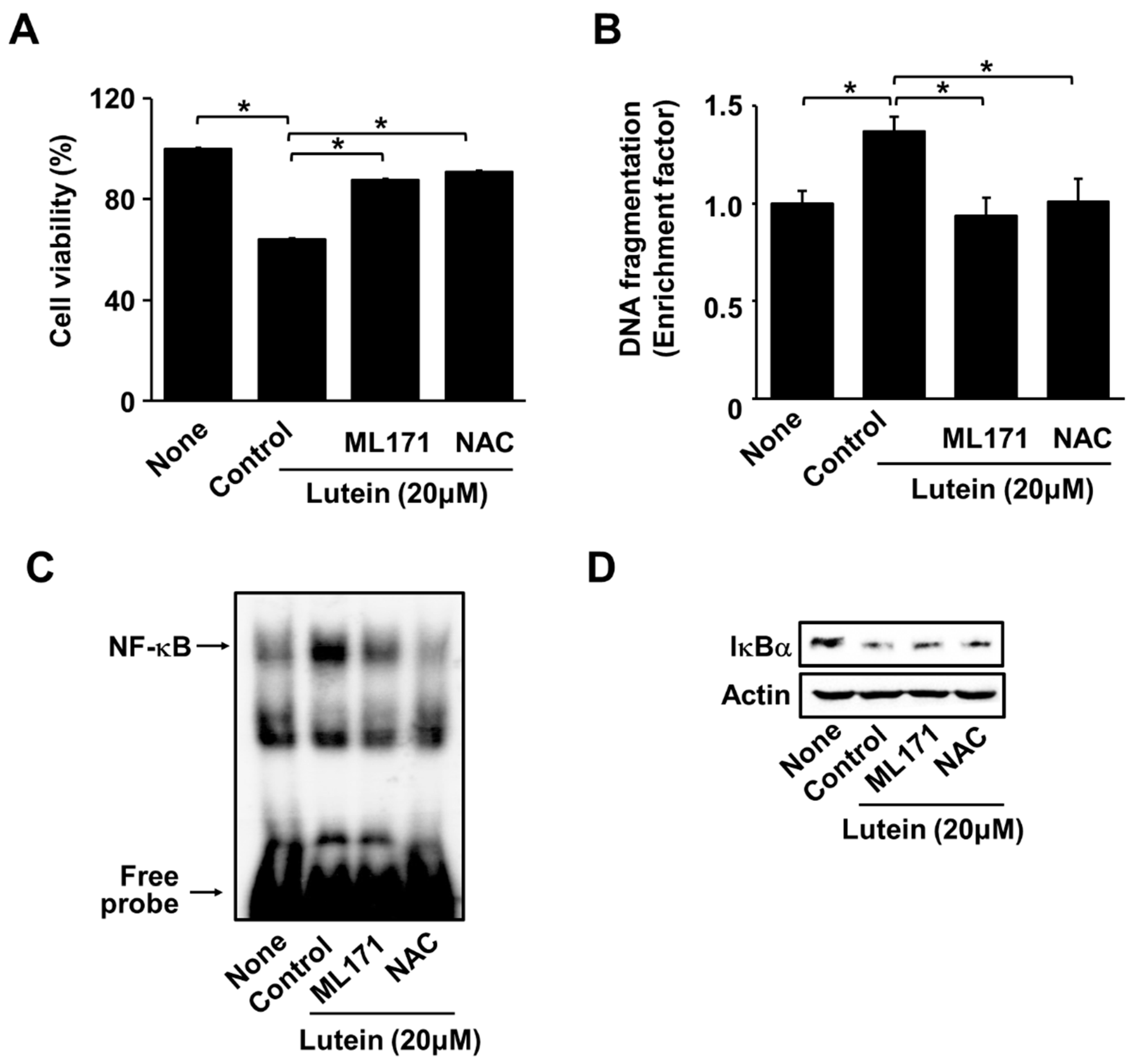 Molecules 28 01178 g004 Molecules 28 01178 g004