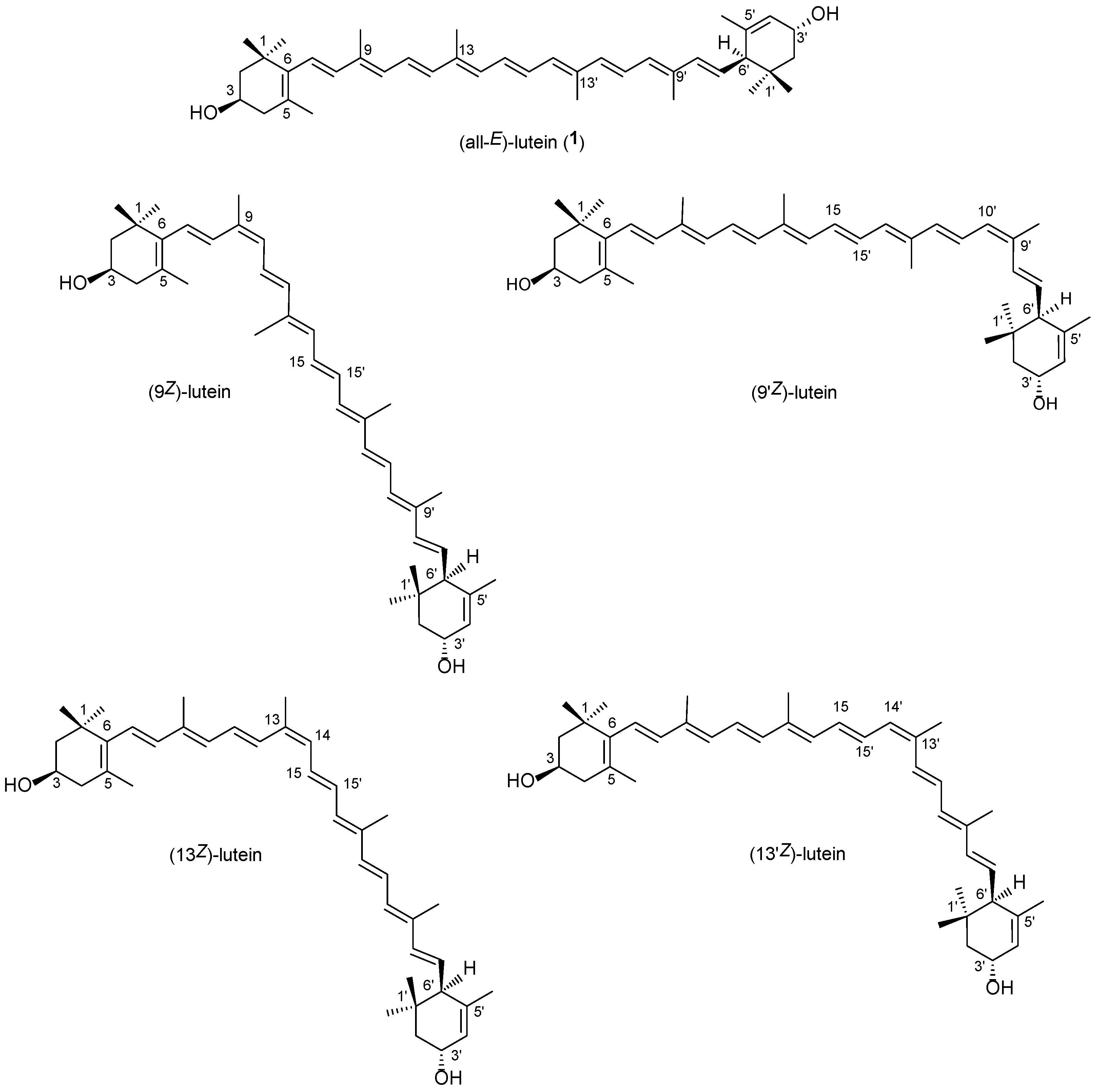 Molecules 28 01187 g001