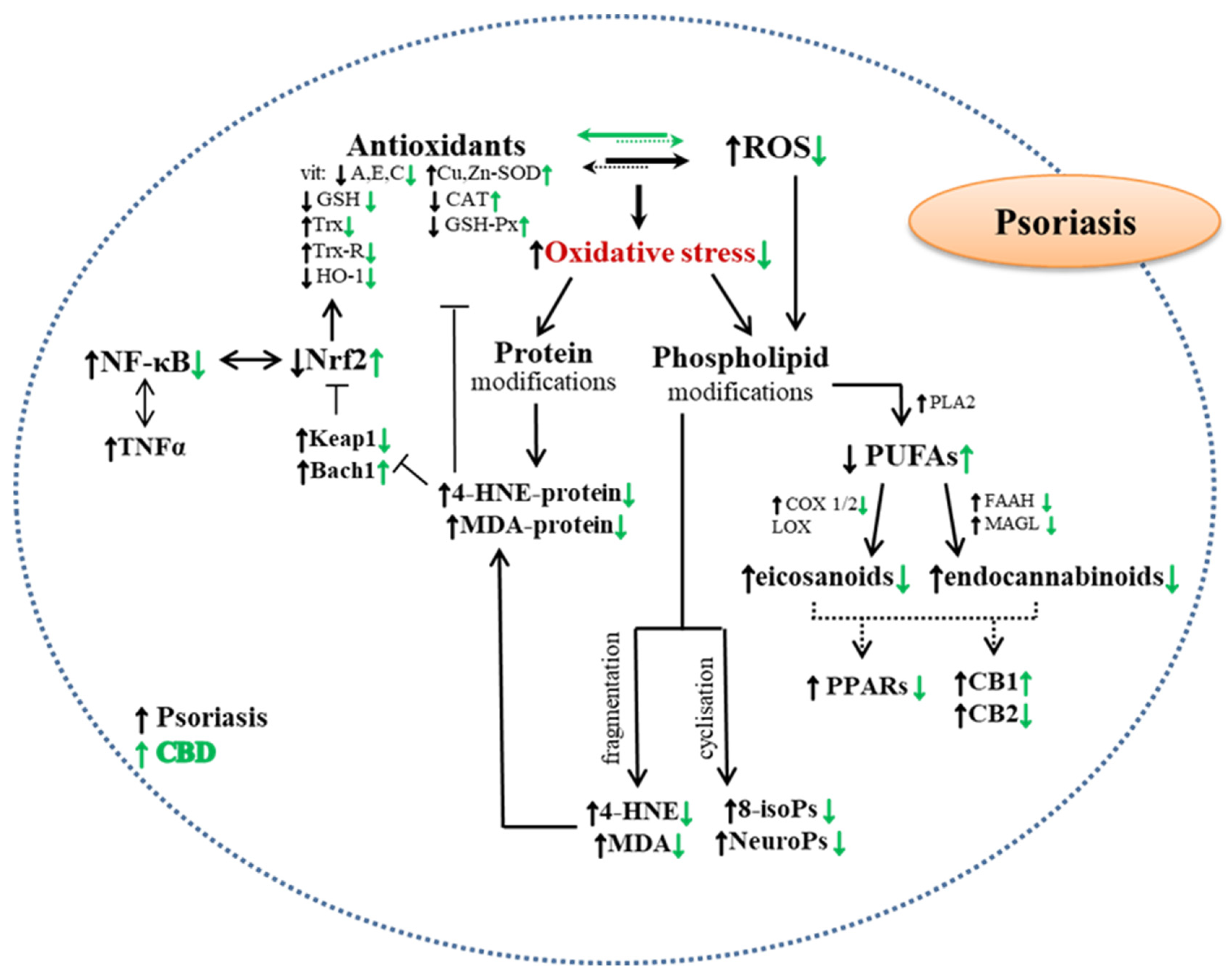 Molecules 28 01192 g002 Molecules 28 01192 g002