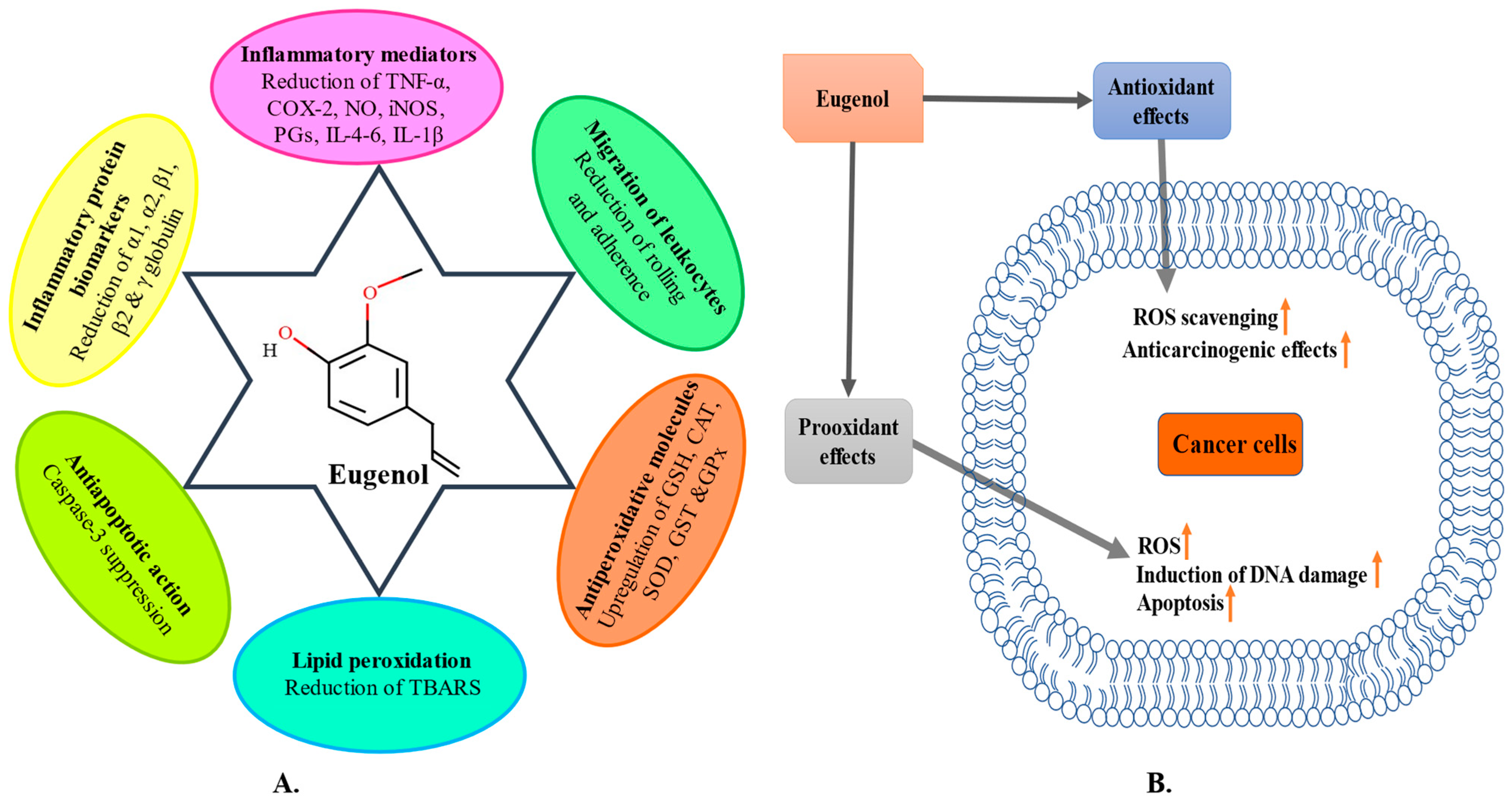 Molecules 28 01193 g003 Molecules 28 01193 g003