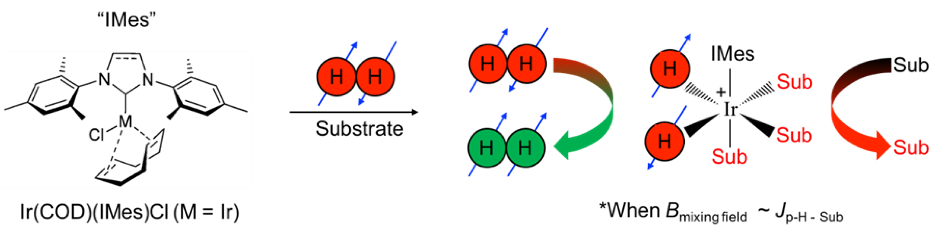 Molecules 28 01198 g001 Molecules 28 01198 g001