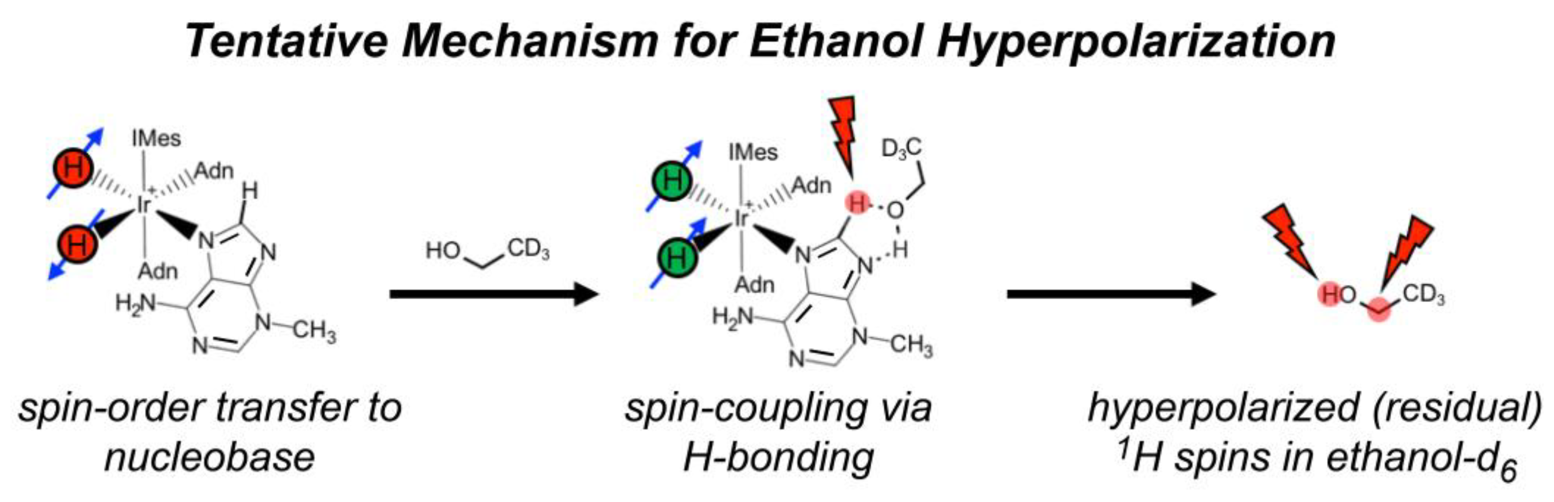 Molecules 28 01198 g005 Molecules 28 01198 g005
