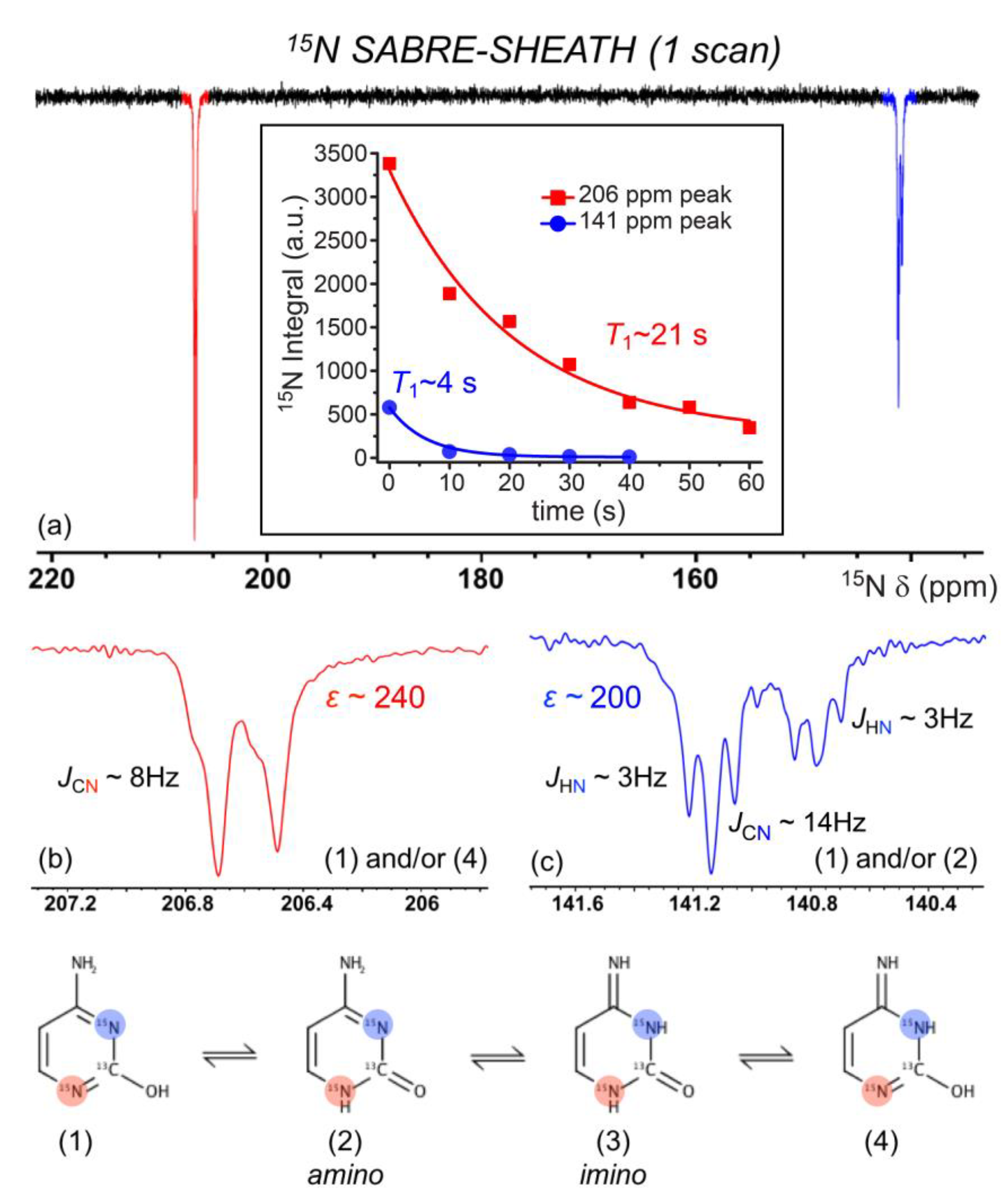 Molecules 28 01198 g008 Molecules 28 01198 g008