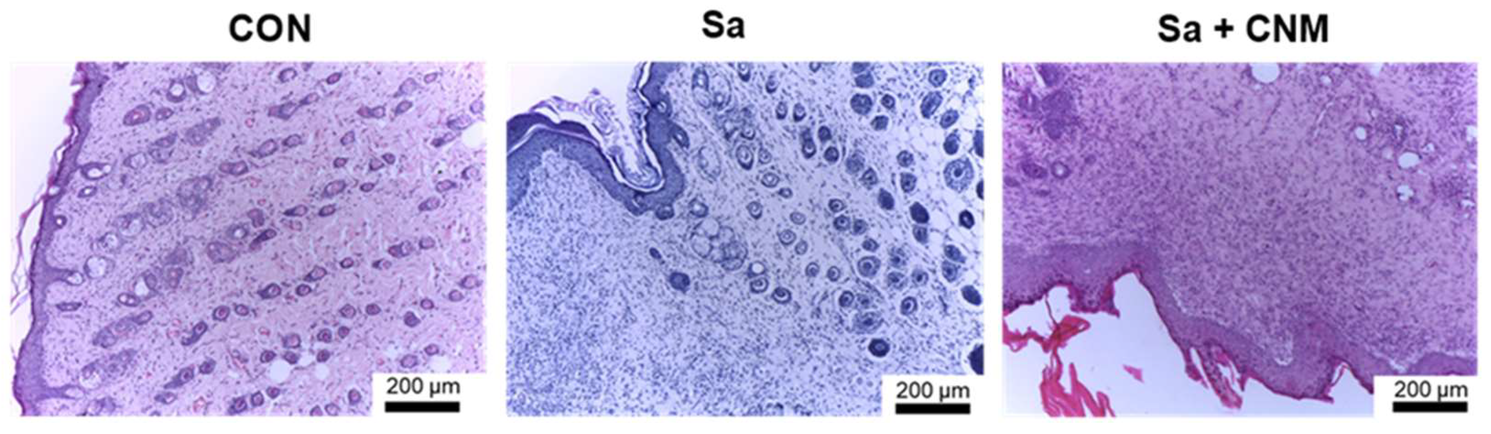 Molecules 28 01204 g003