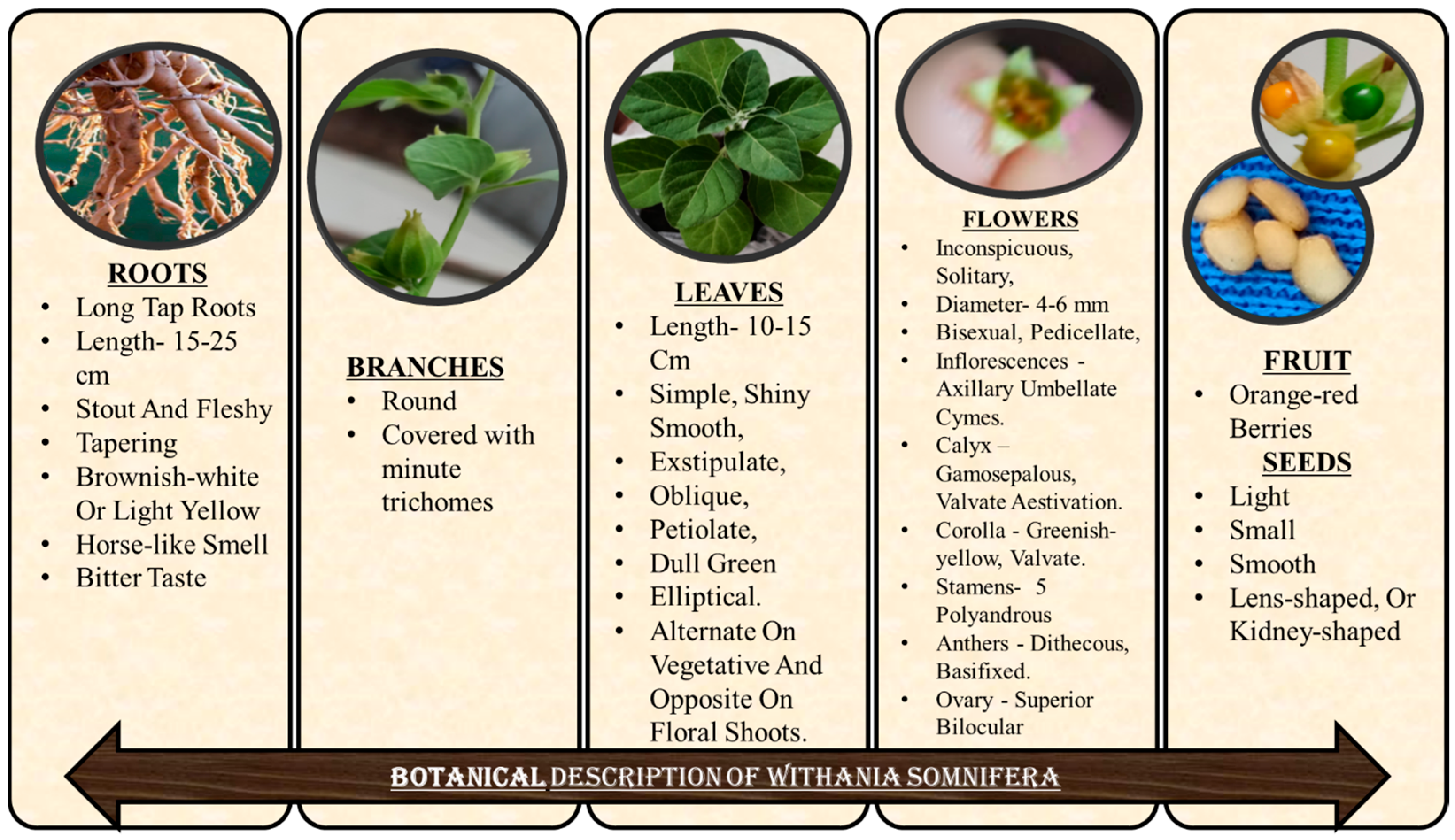 Molecules 28 01208 g001