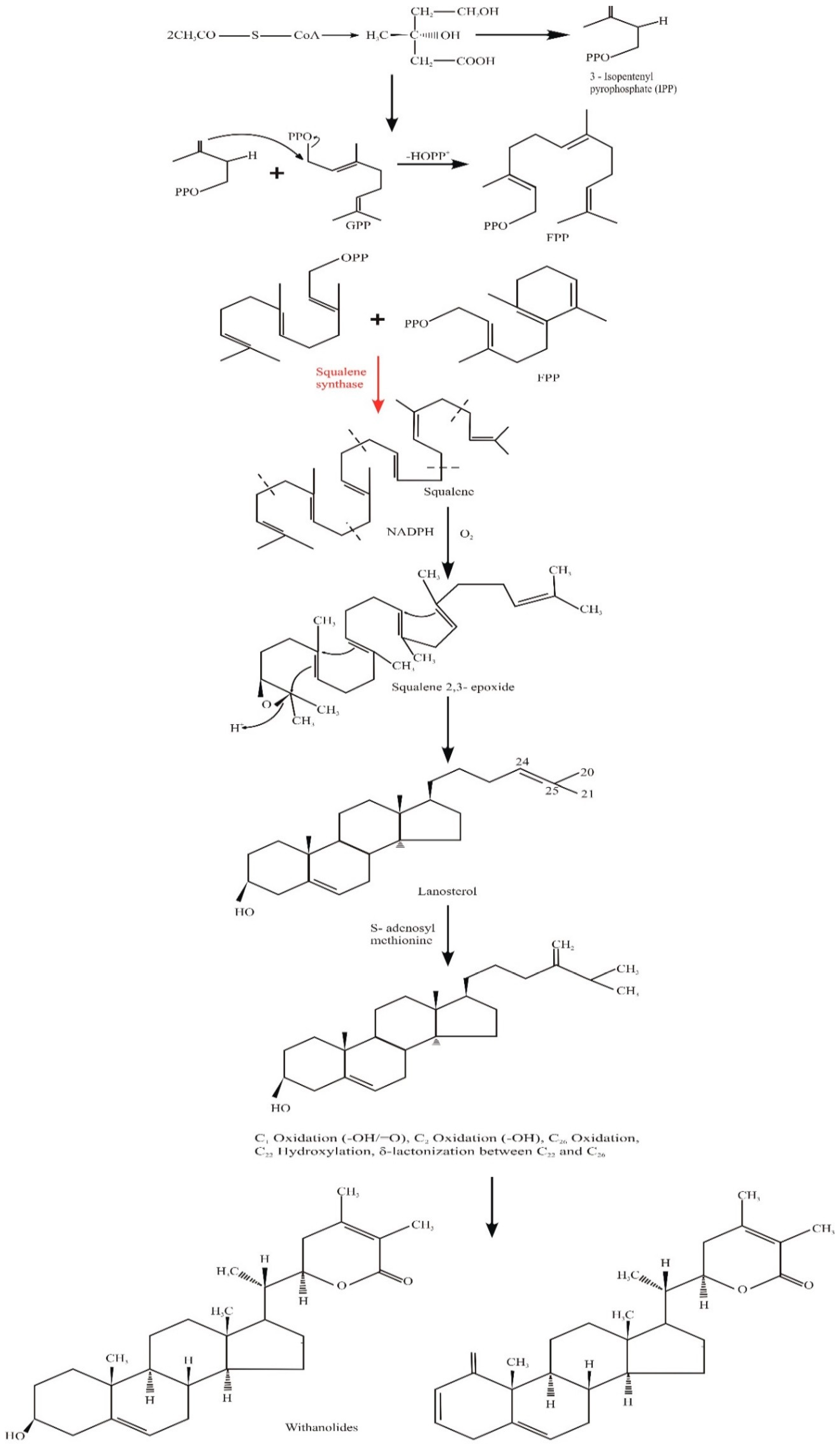 Molecules 28 01208 g004