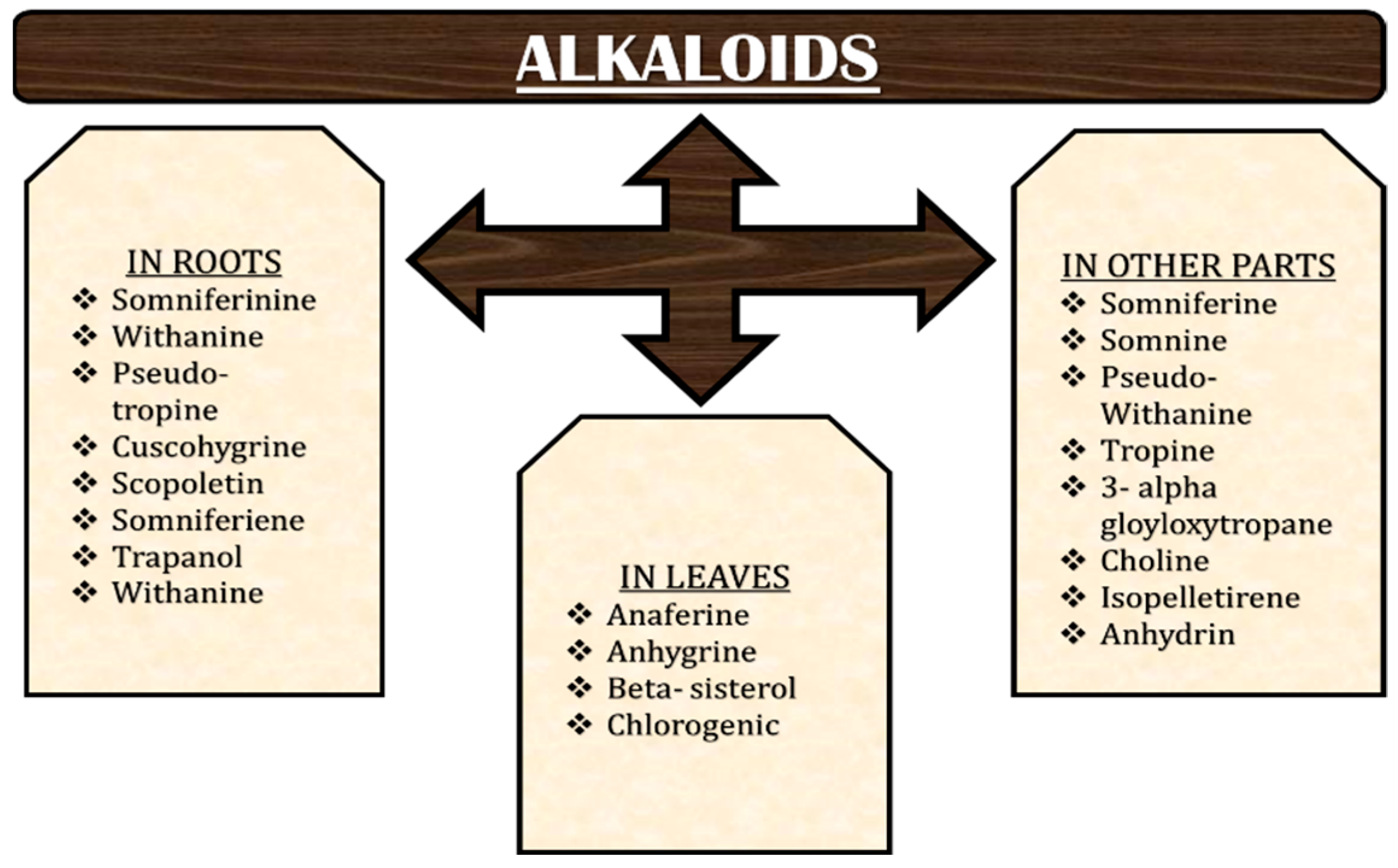 Molecules 28 01208 g007