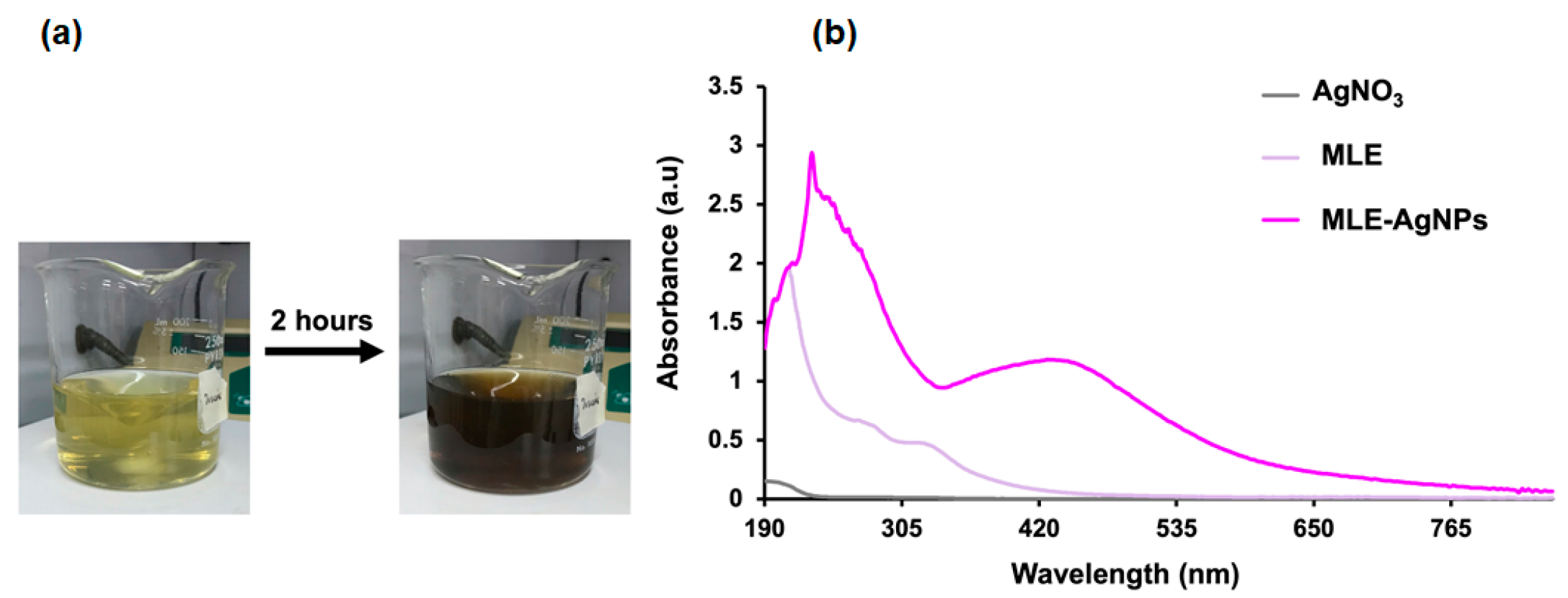Molecules 28 01213 g001 Molecules 28 01213 g001
