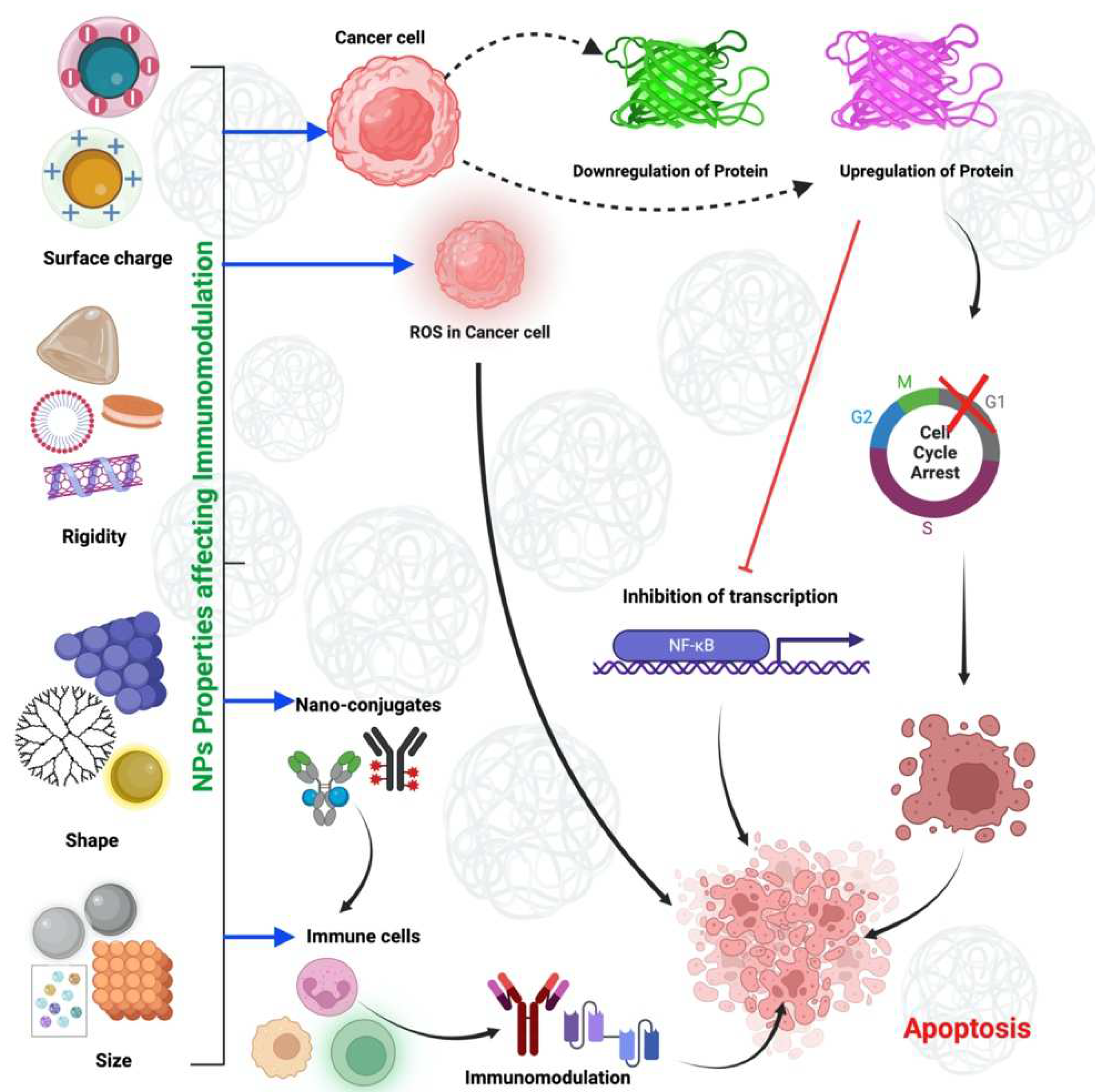 Molecules 28 01216 g003