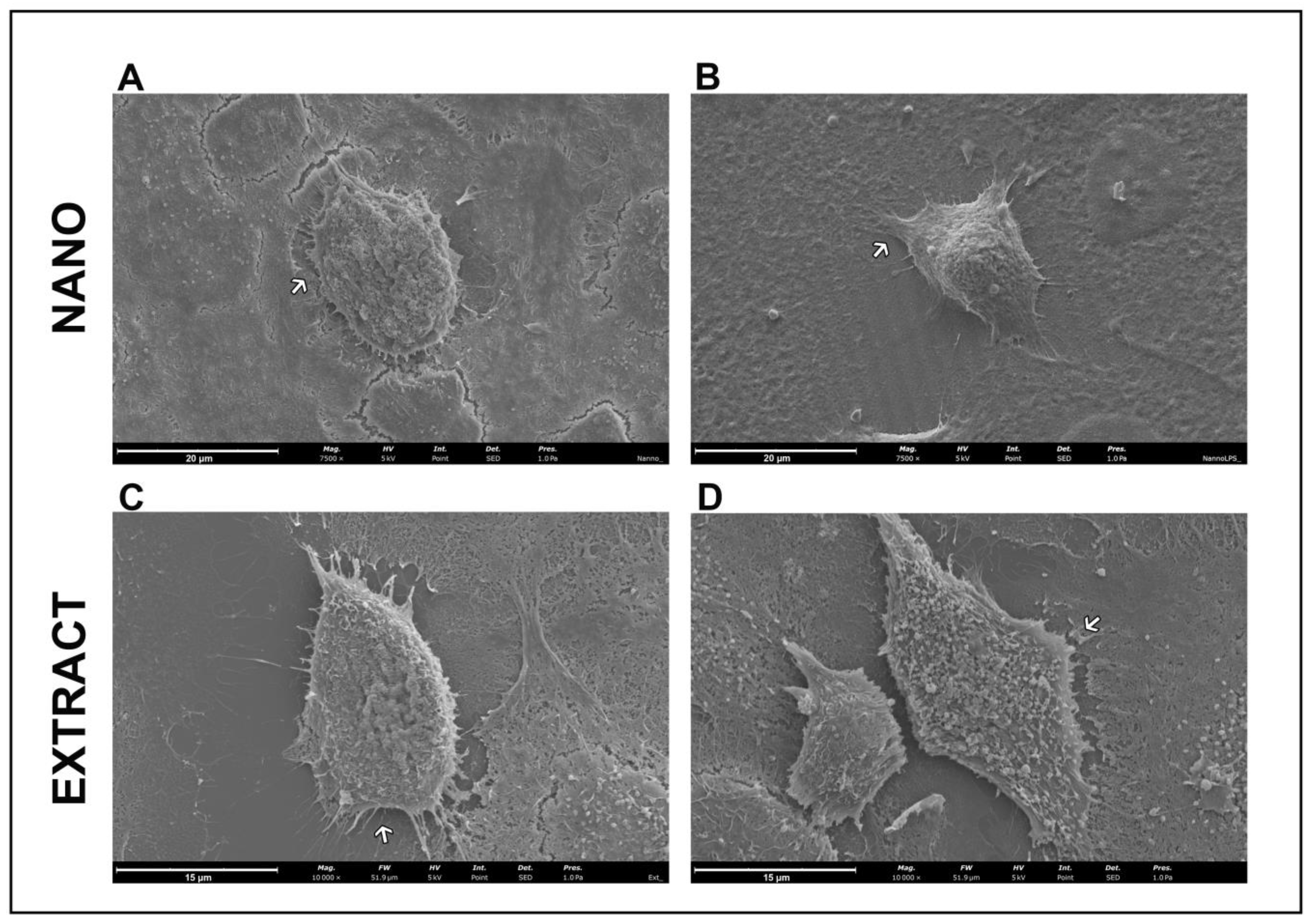 Molecules 28 01219 g004 Molecules 28 01219 g004