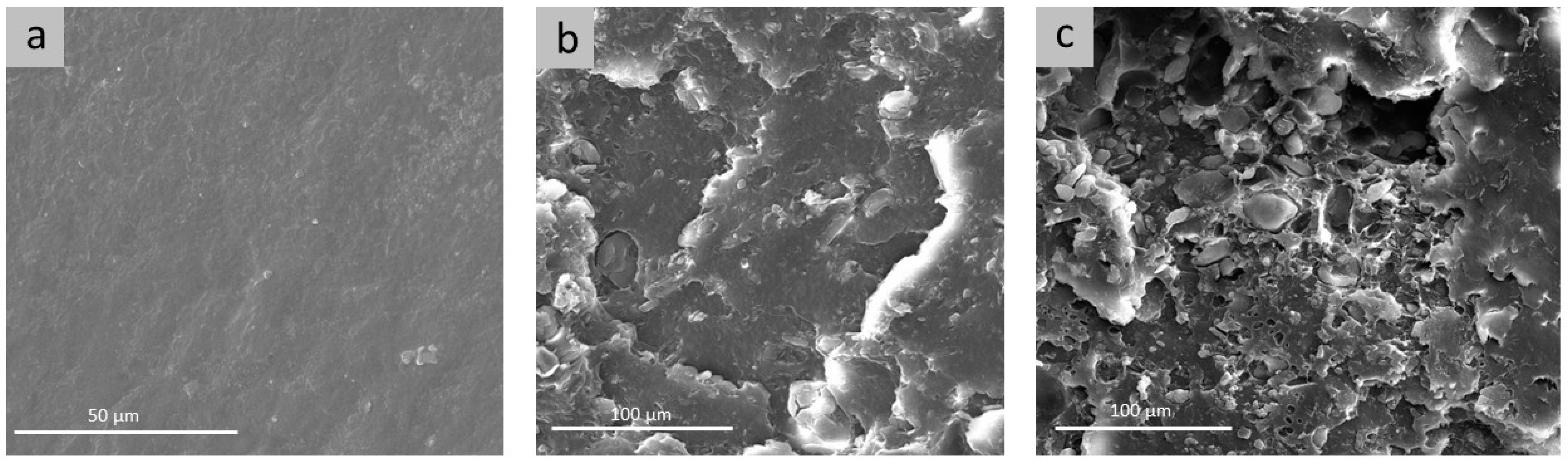 Molecules 28 01220 g001 Molecules 28 01220 g001