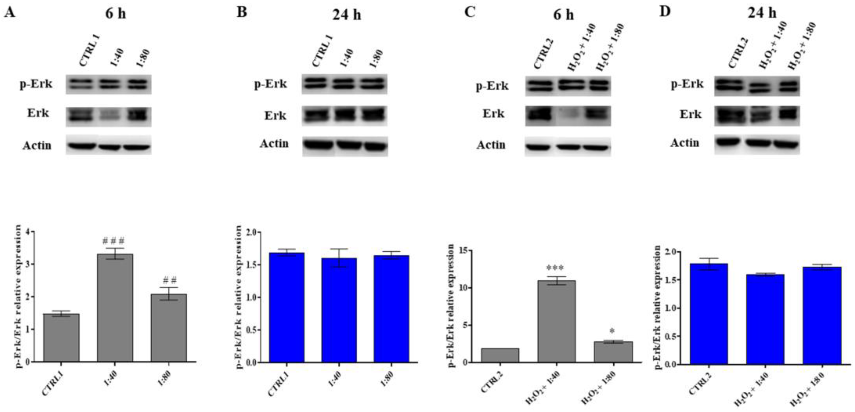 Molecules 28 01222 g006