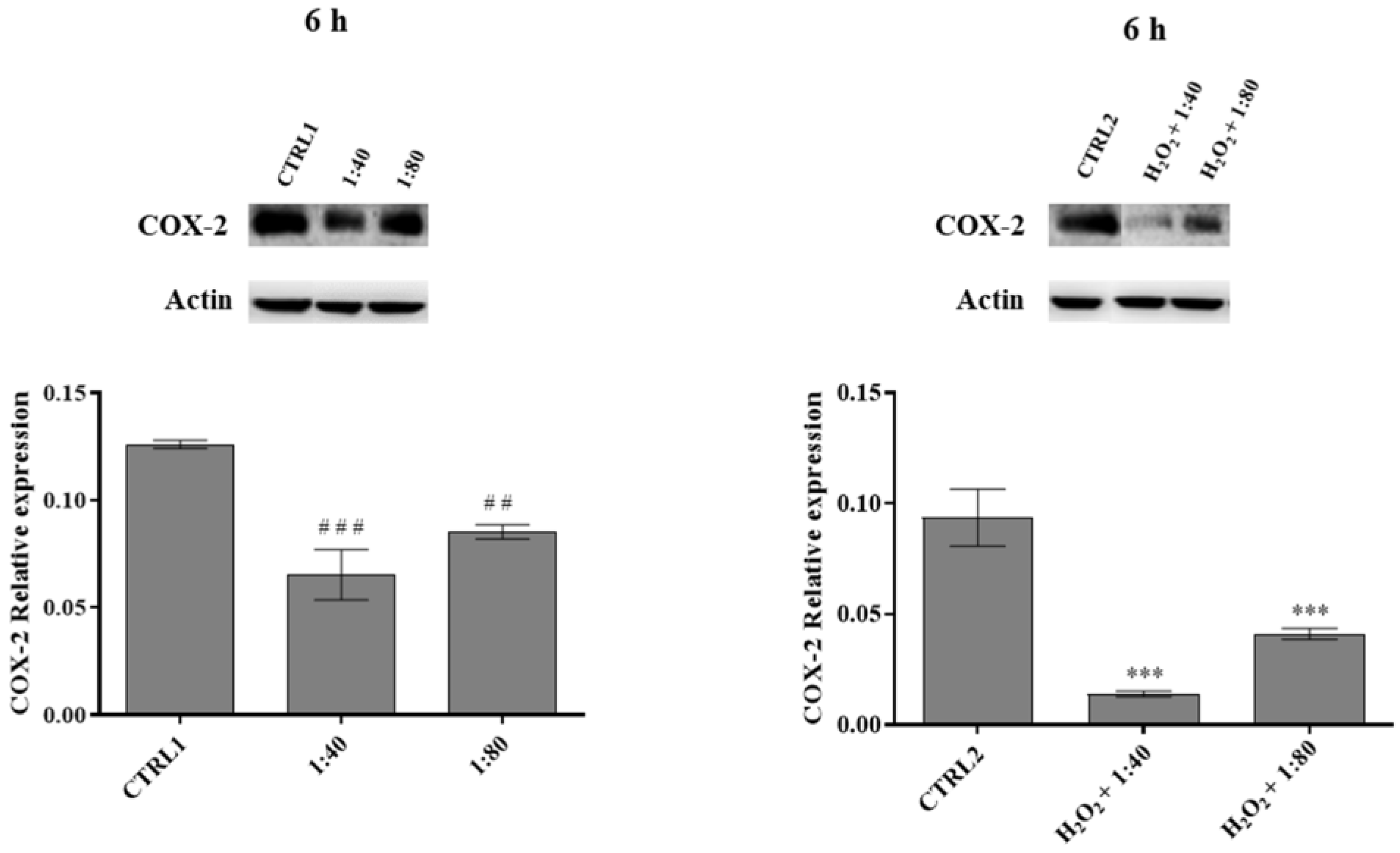 Molecules 28 01222 g007