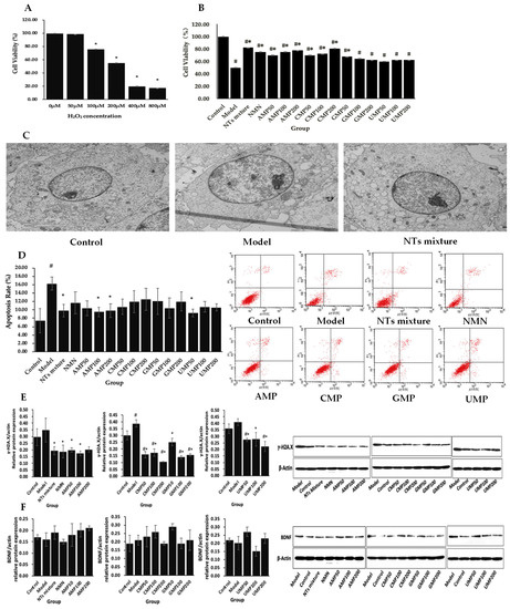 Neuroprotective Actions of Different Exogenous Nucleotides in H2O2 ...
