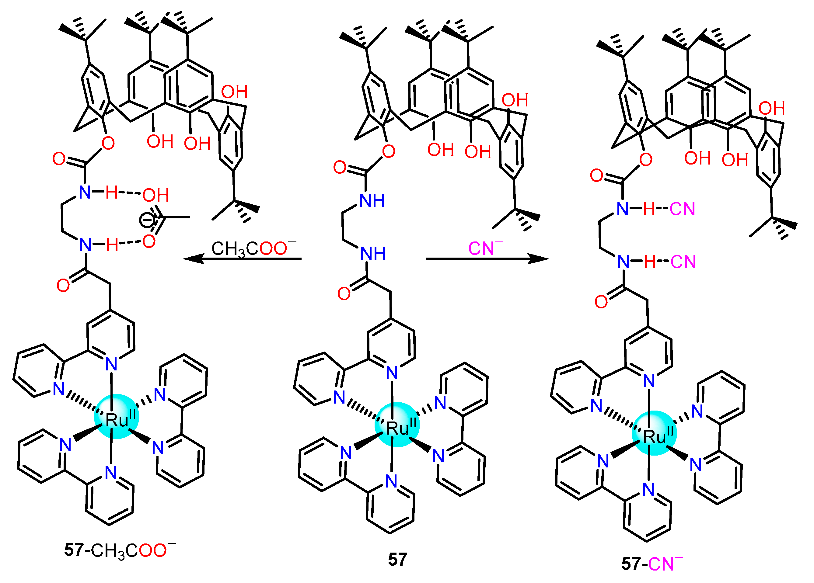 Molecules 28 01231 sch003 Molecules 28 01231 sch003