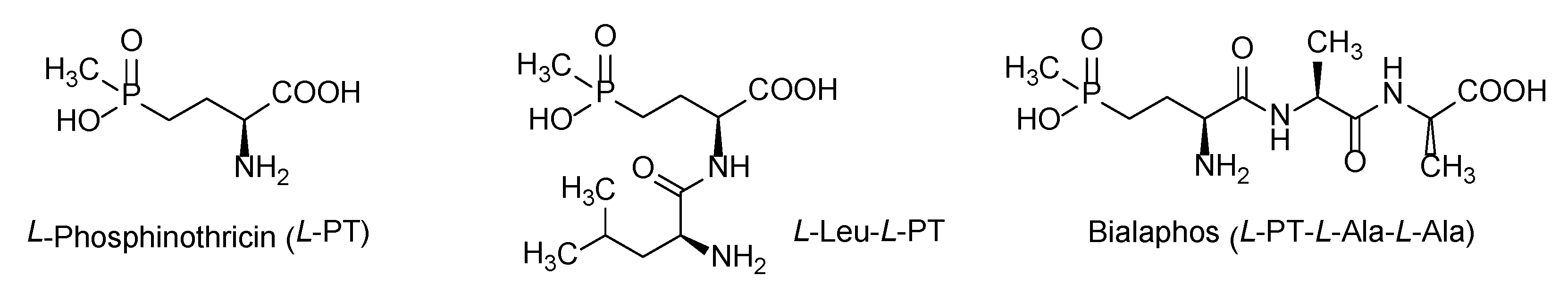 Molecules 28 01234 g001 Molecules 28 01234 g001