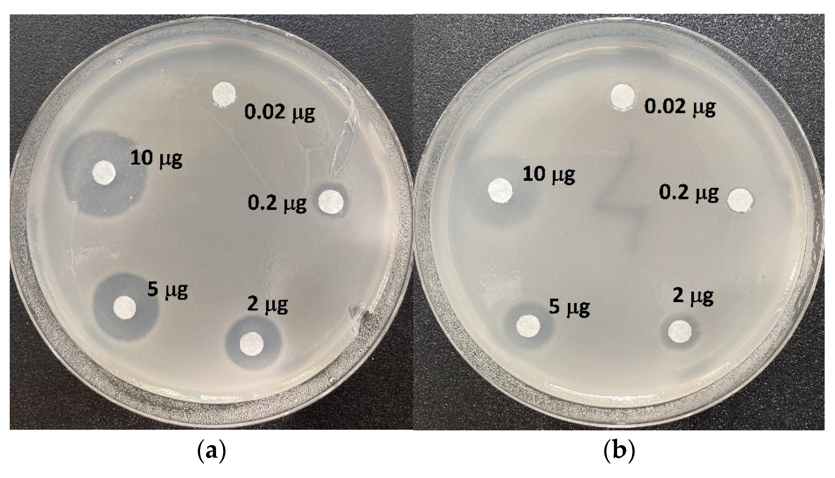 Molecules 28 01234 g003 Molecules 28 01234 g003