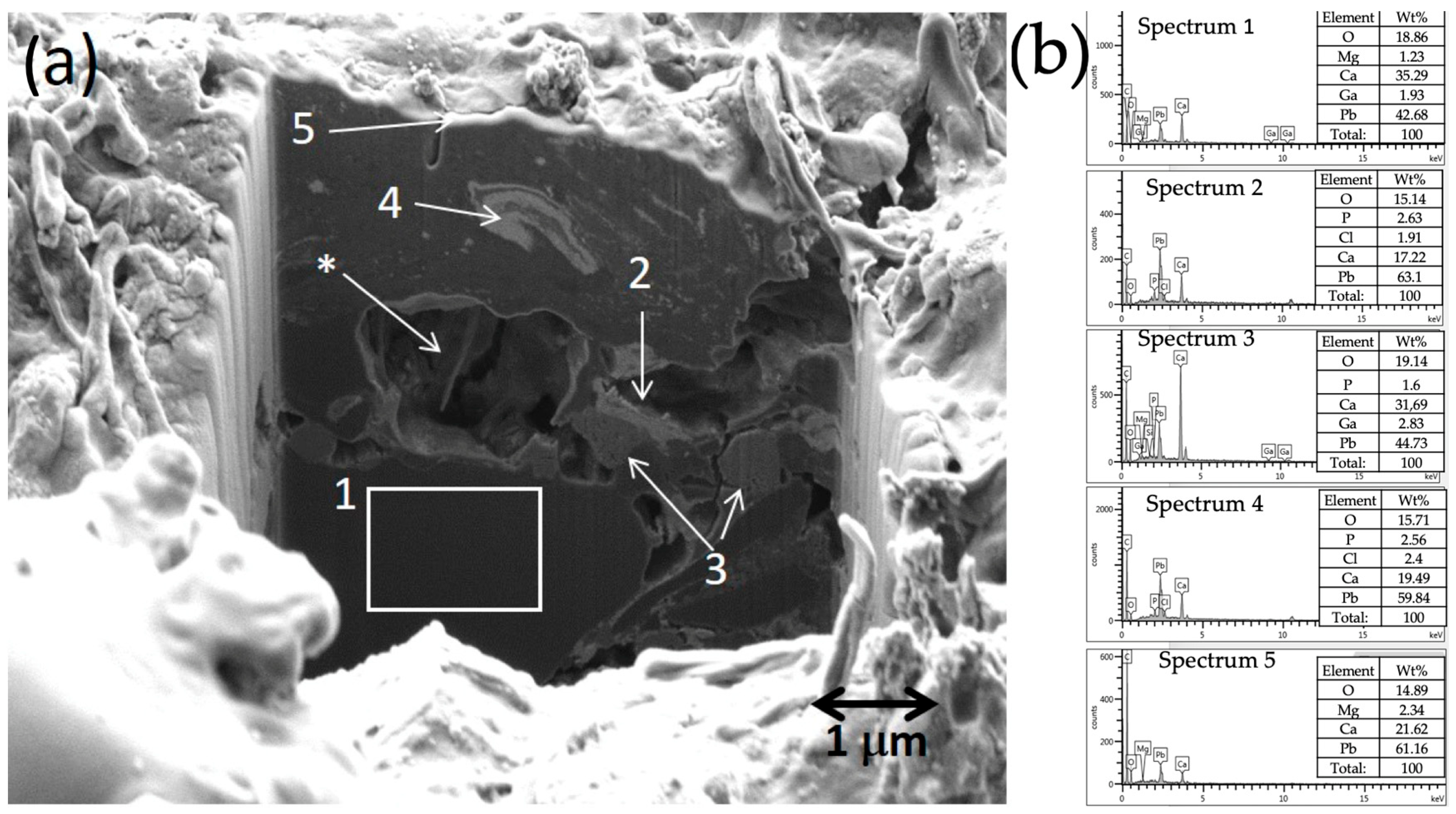 Molecules 28 01235 g010 Molecules 28 01235 g010