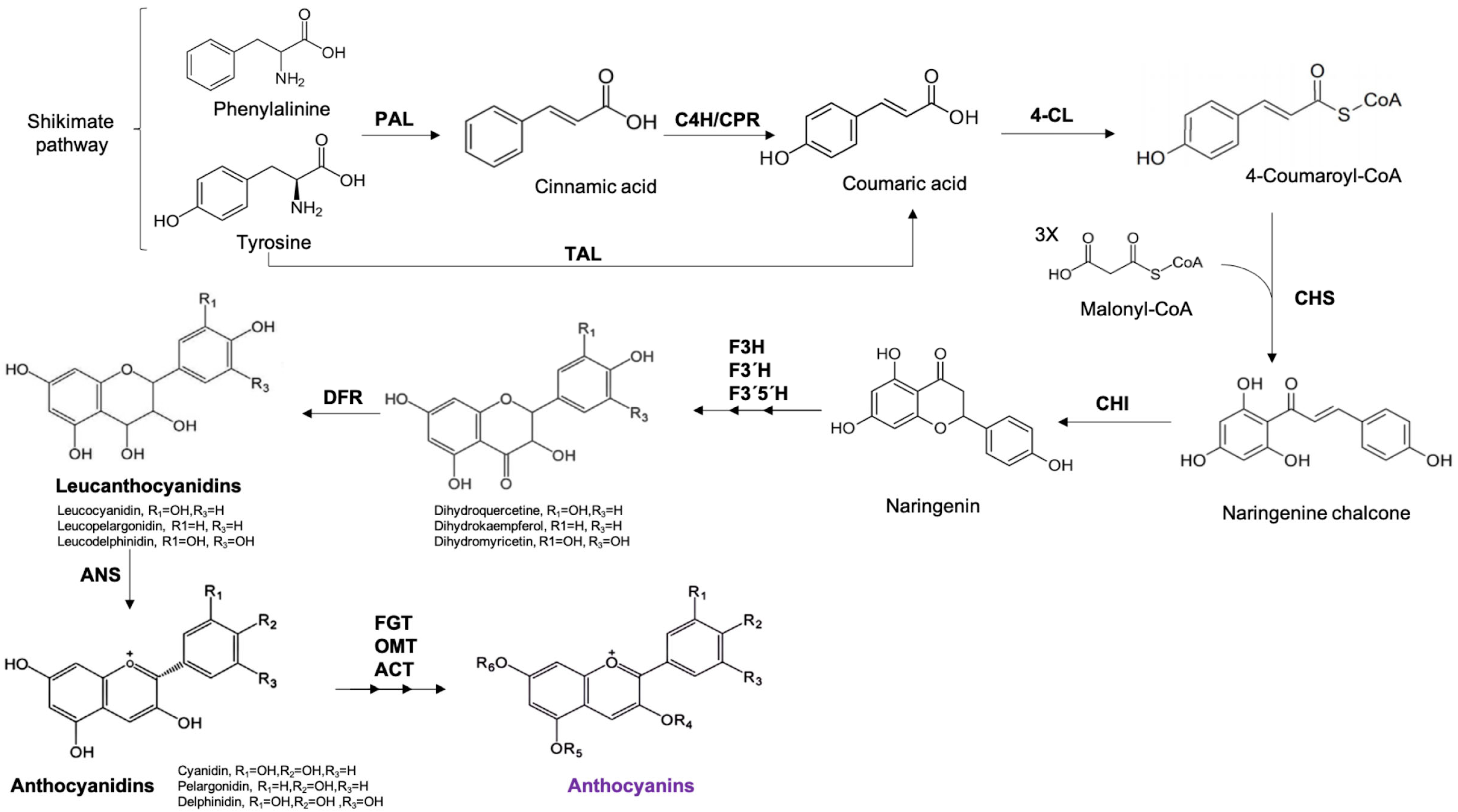 Molecules 28 01237 g001 Molecules 28 01237 g001