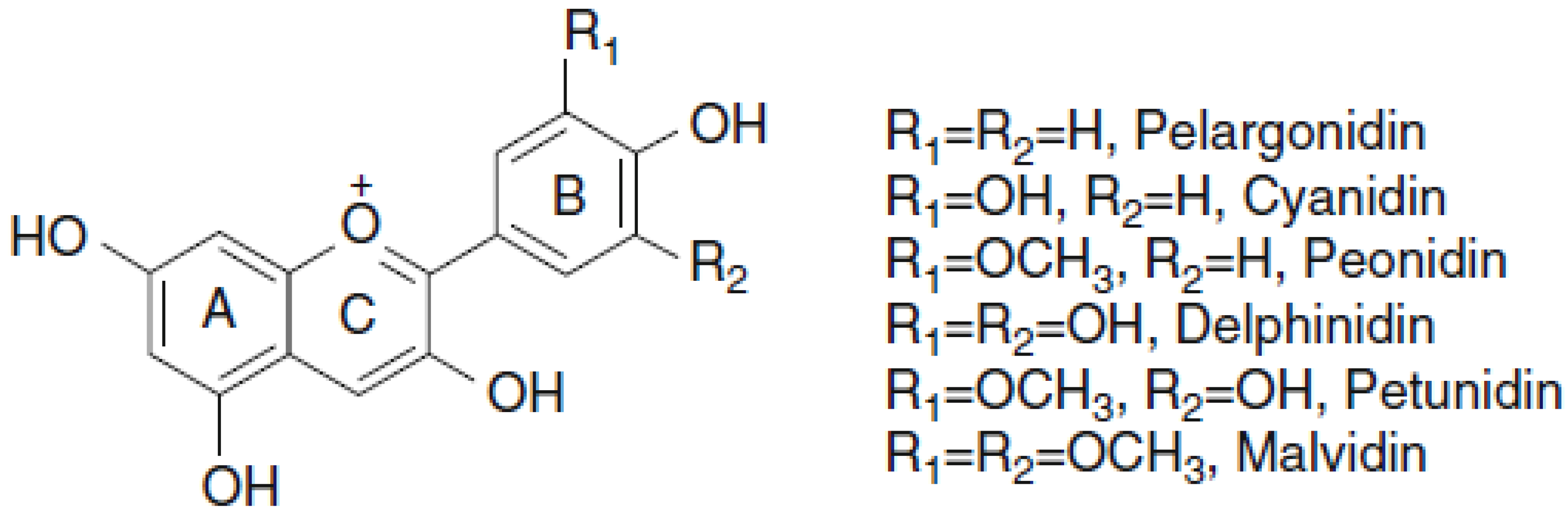 Molecules 28 01237 g002 Molecules 28 01237 g002