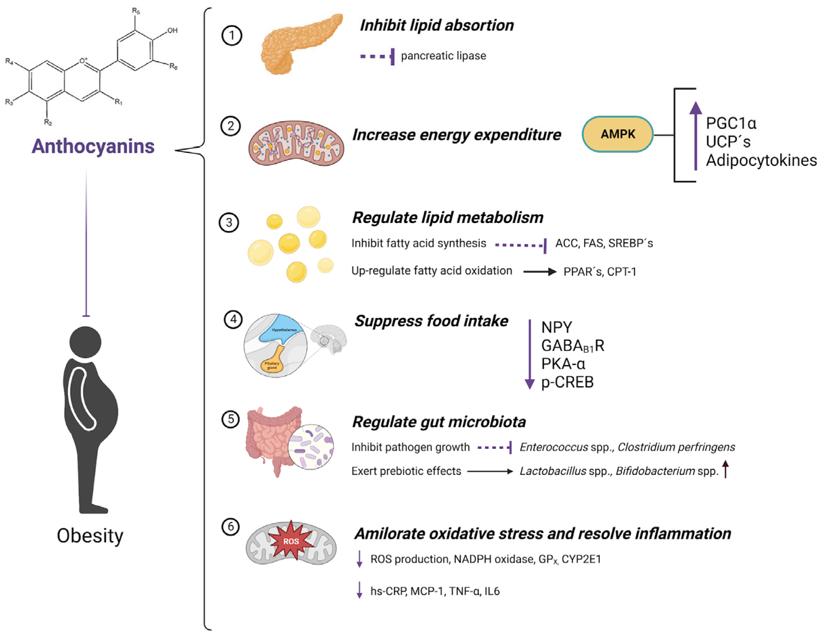 Molecules 28 01237 g004 Molecules 28 01237 g004