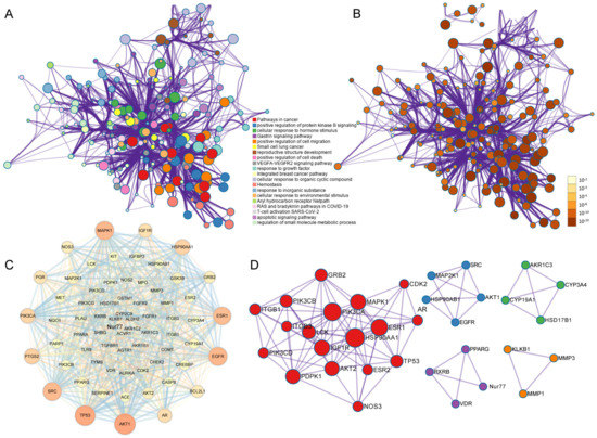 Nur77 Serves as a Potential Prognostic Biomarker That
