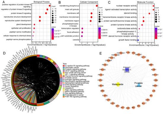 Nur77 Serves as a Potential Prognostic Biomarker That