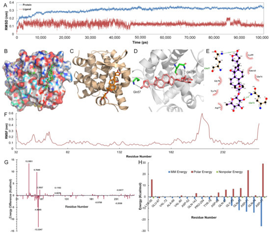 Nur77 Serves as a Potential Prognostic Biomarker That
