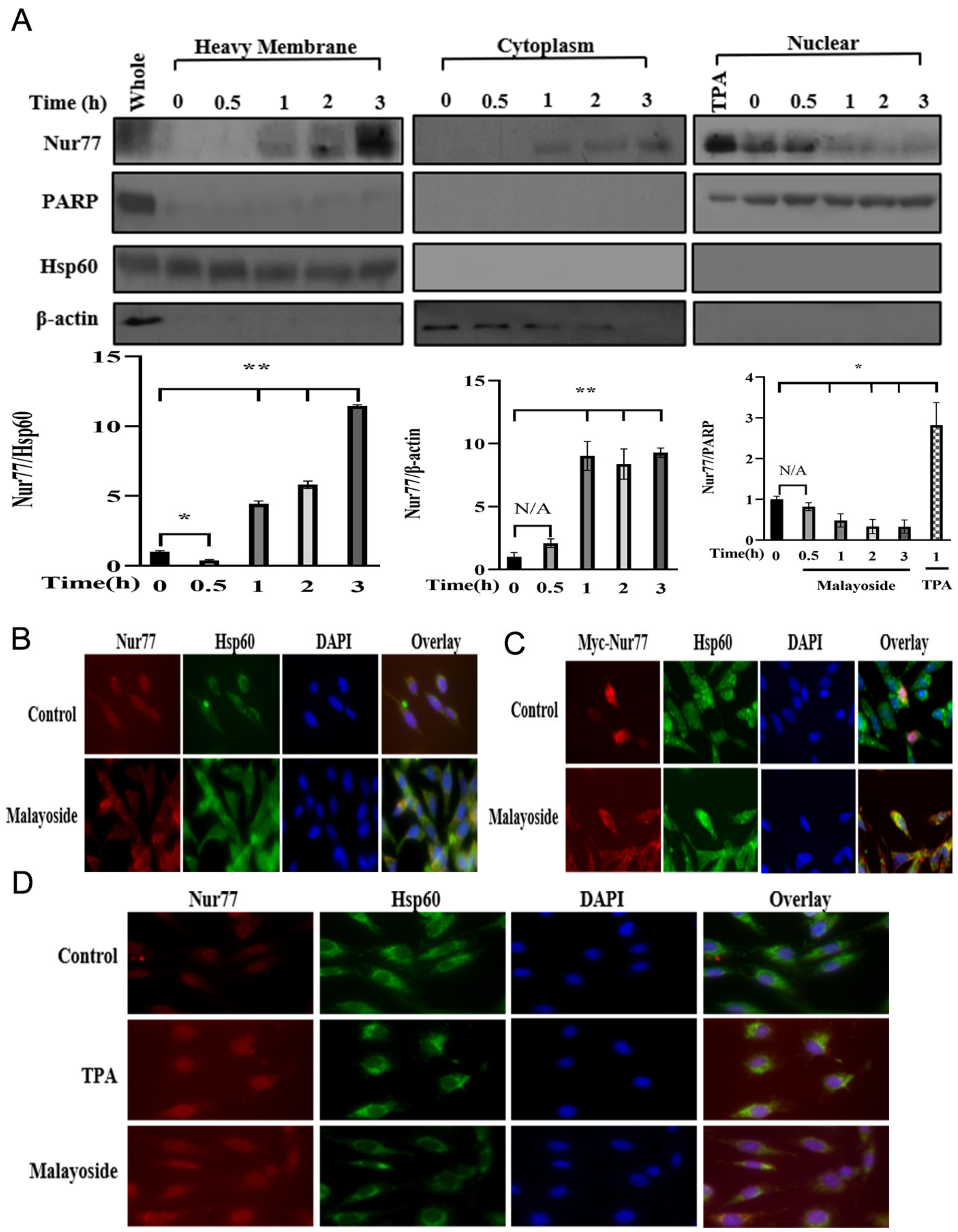 Molecules 28 01238 g009 Molecules 28 01238 g009