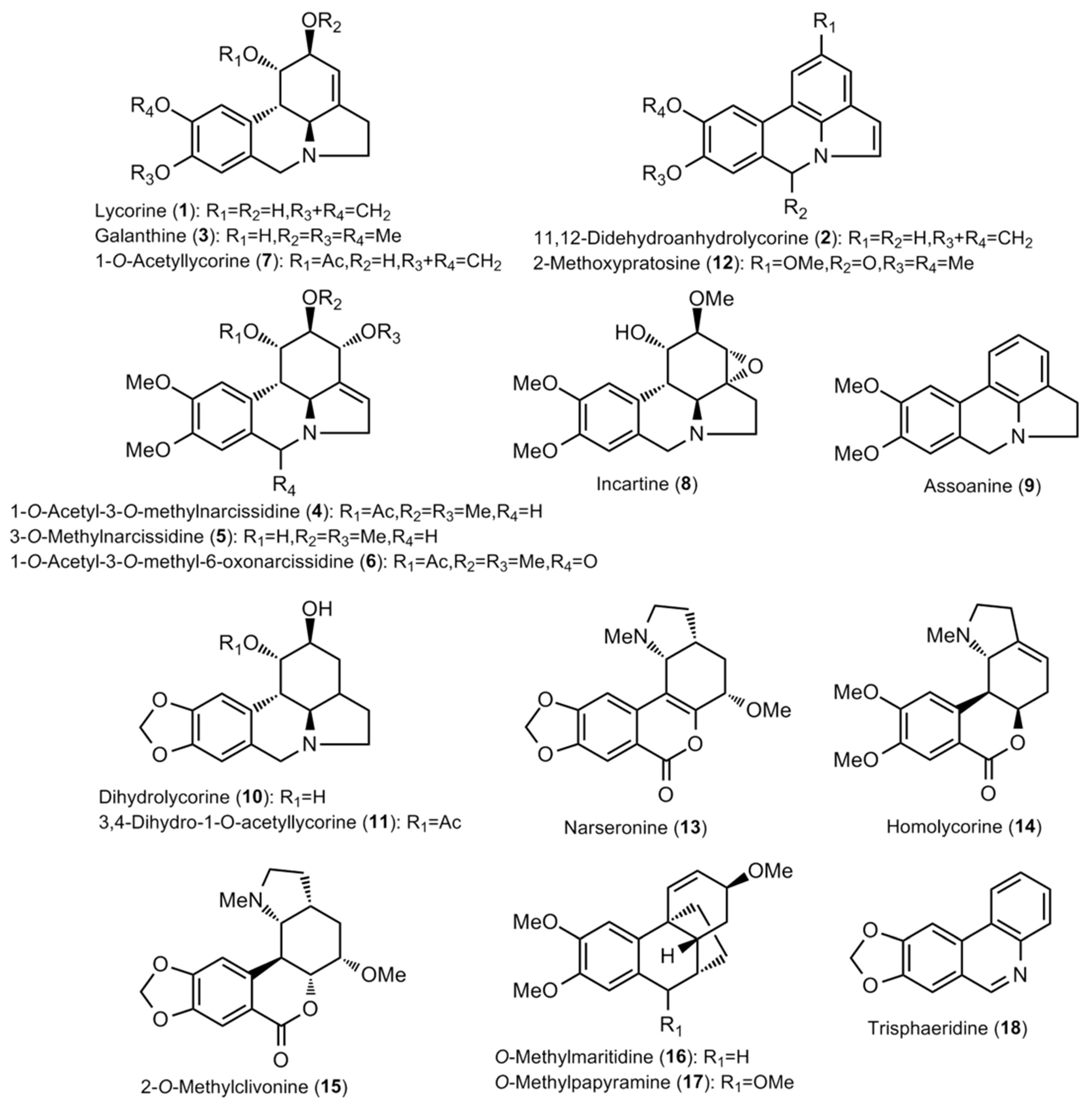 Molecules 28 01239 g001