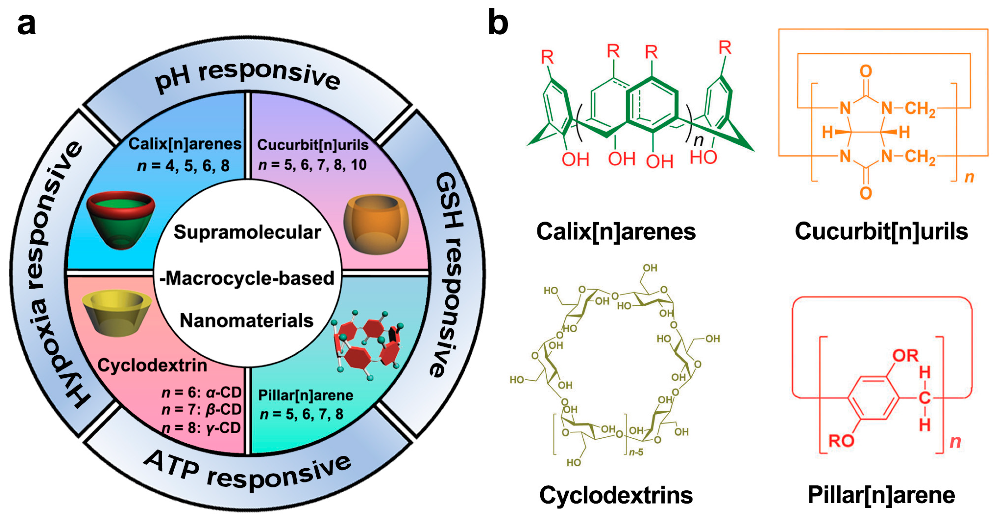 Molecules 28 01241 g001
