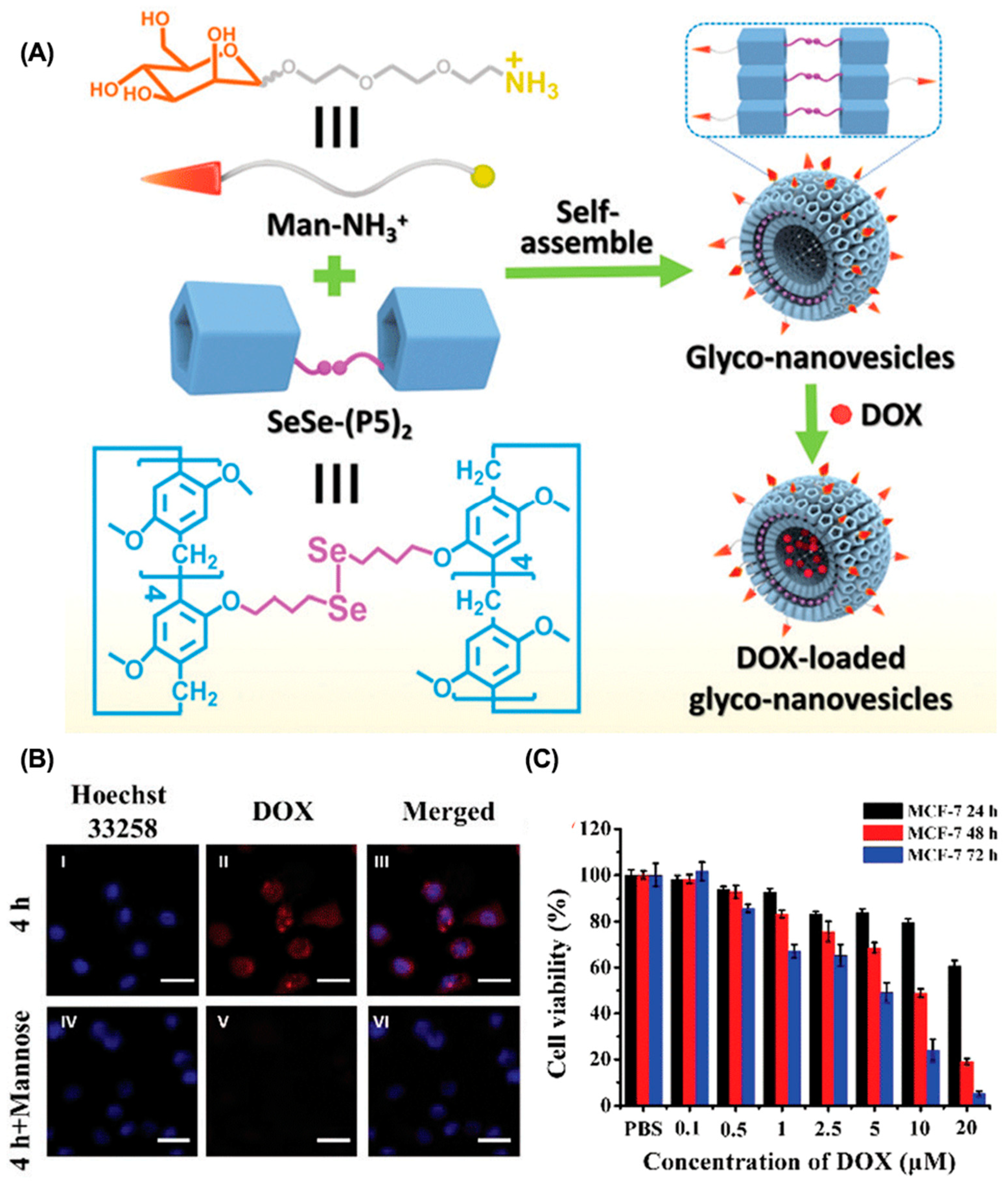 Molecules 28 01241 g002