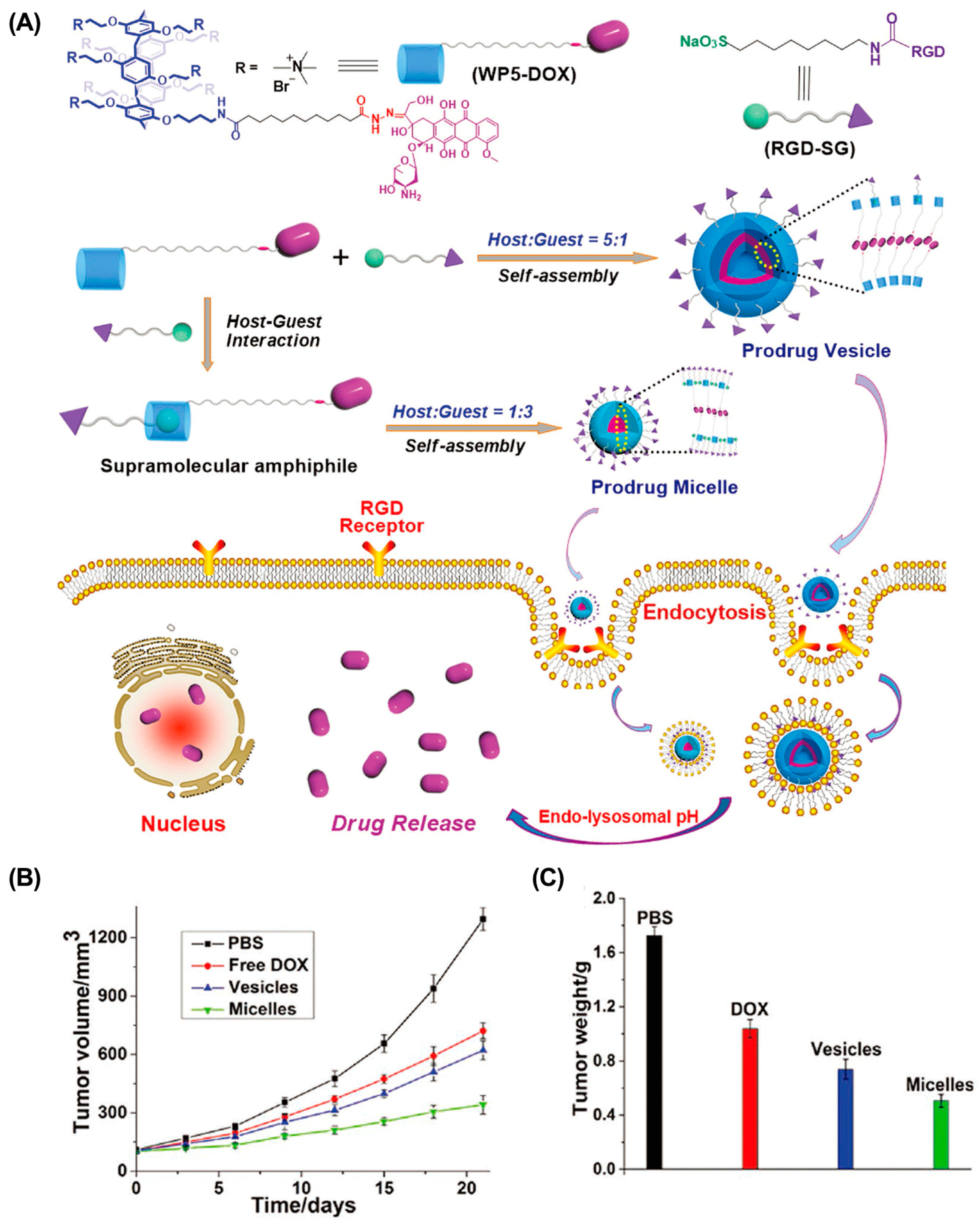 Molecules 28 01241 g003