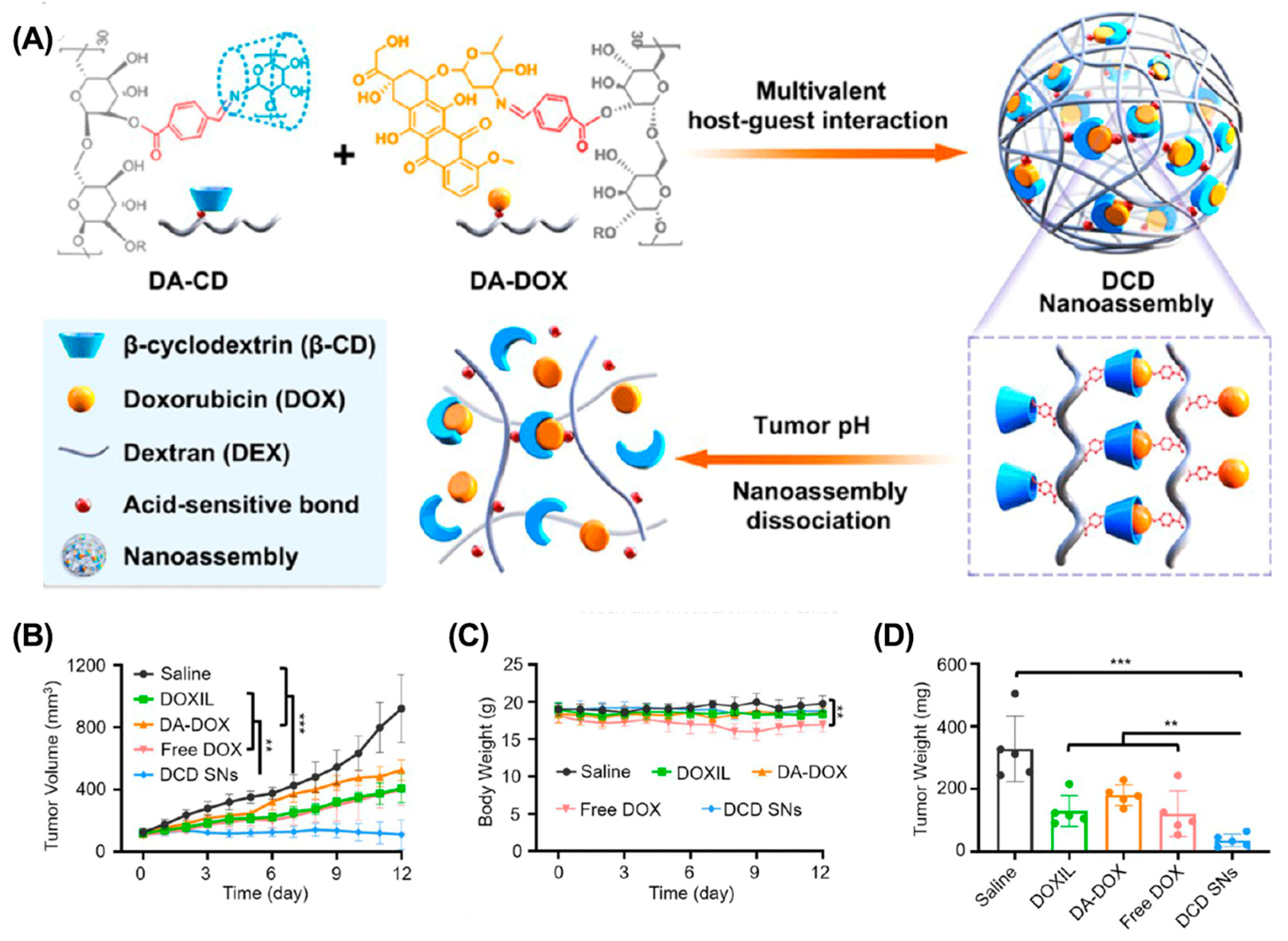 Molecules 28 01241 g004