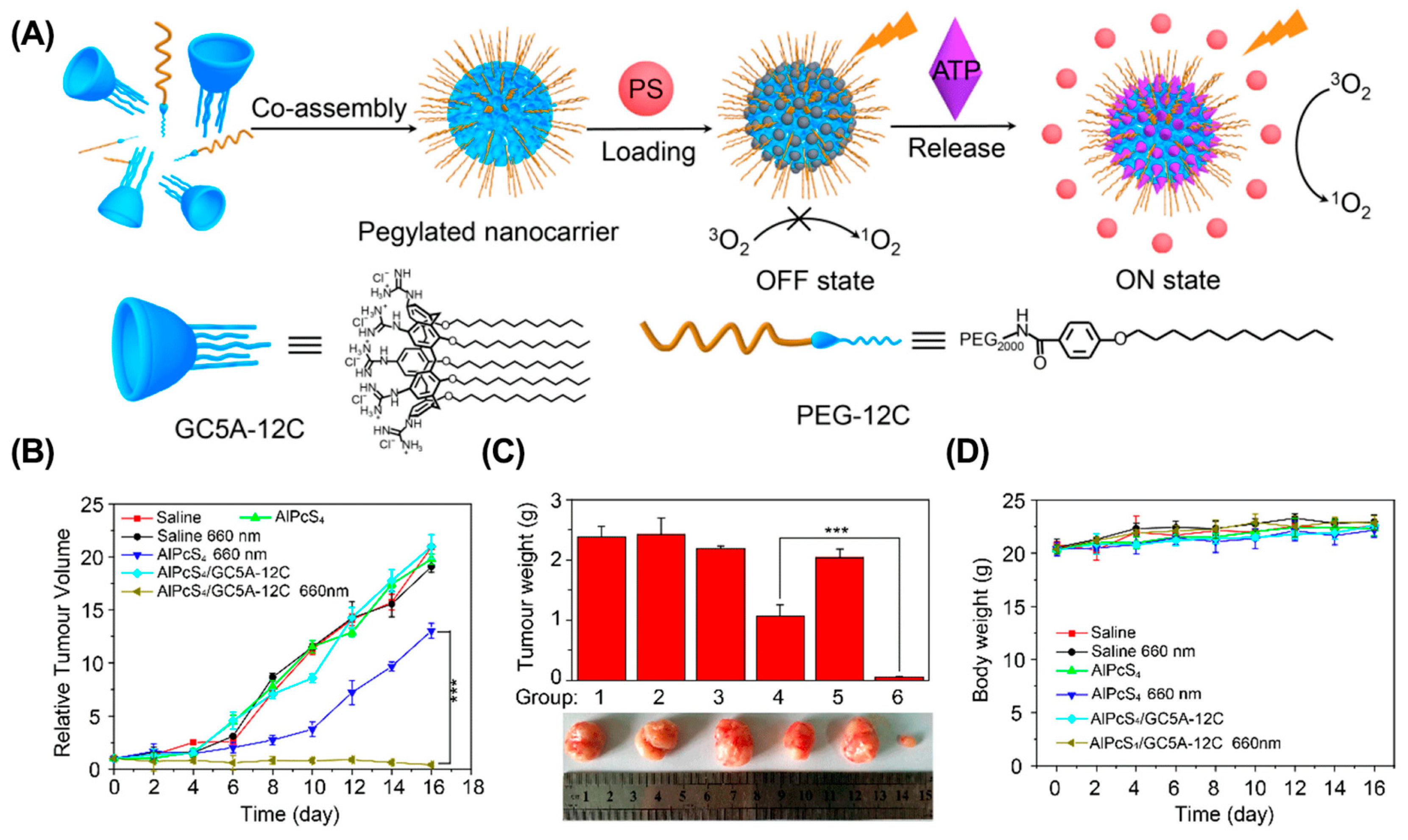 Molecules 28 01241 g006