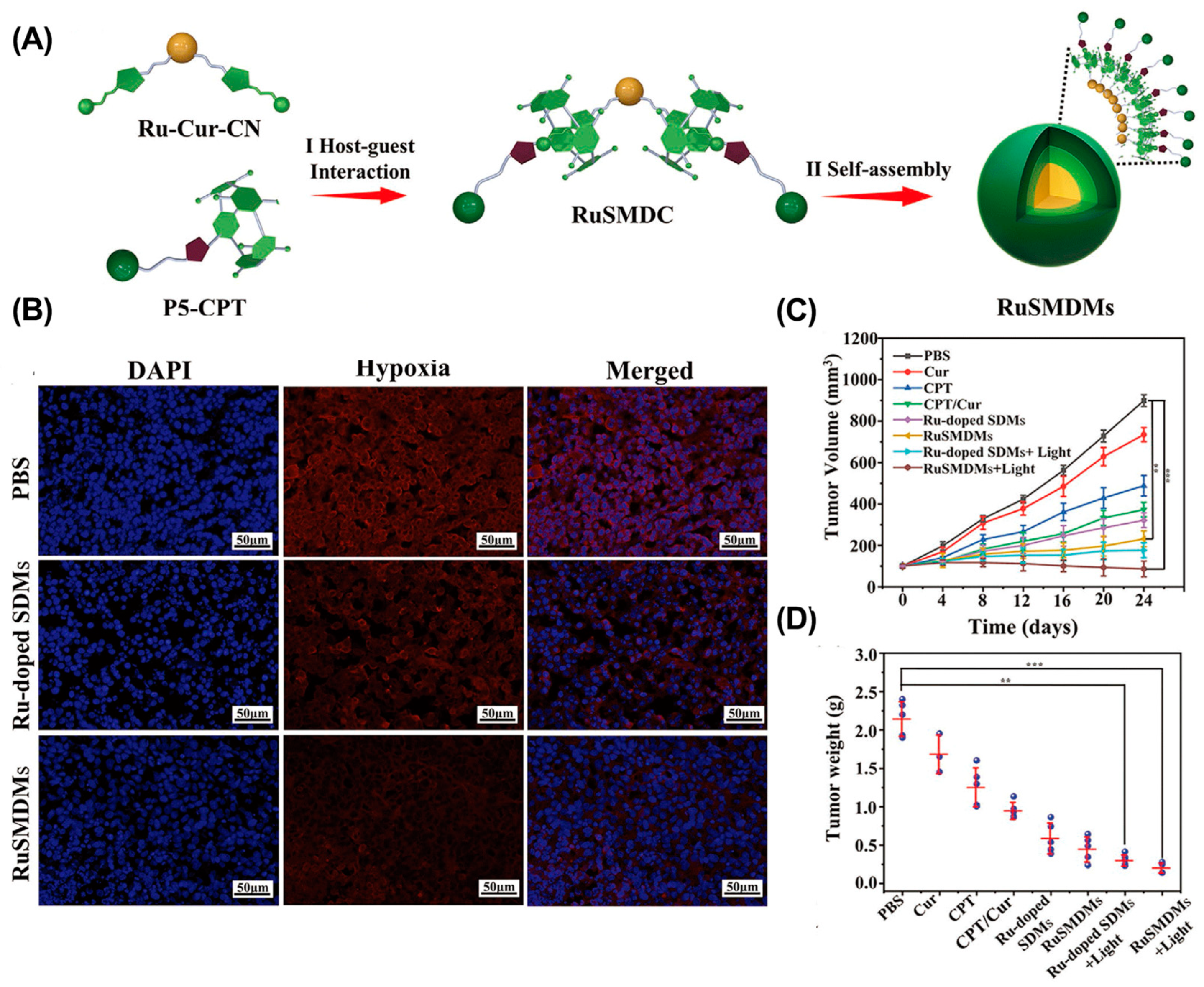 Molecules 28 01241 g008