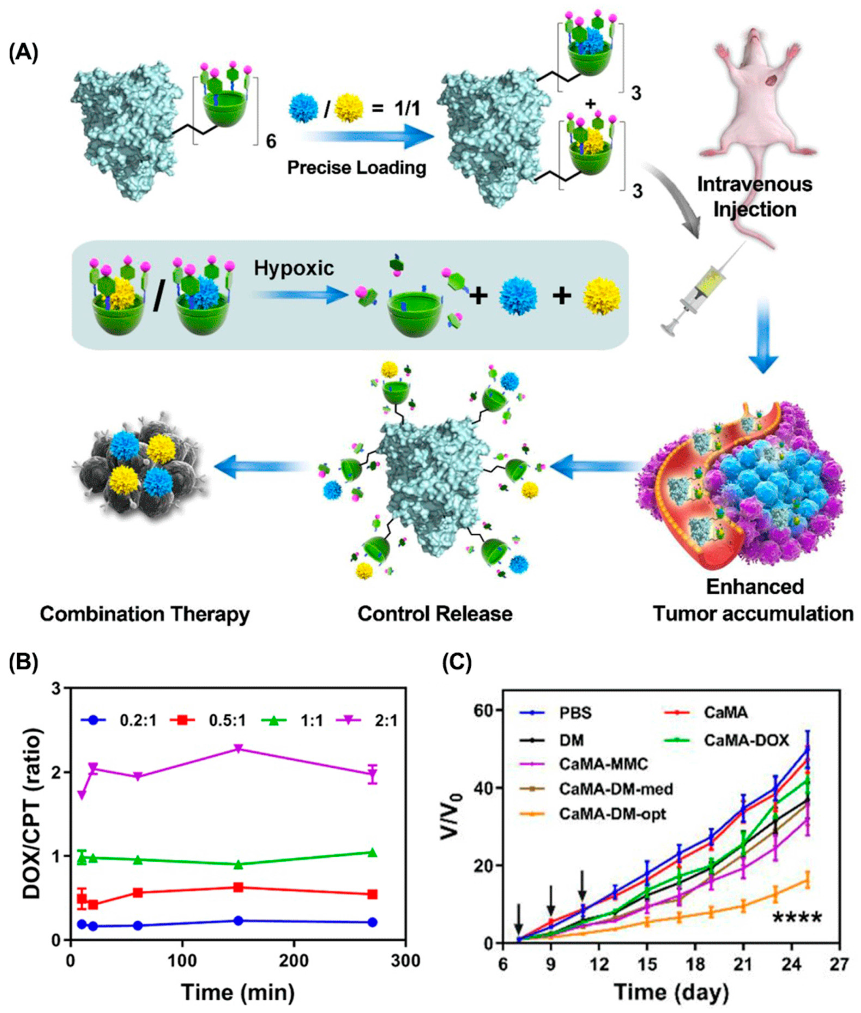 Molecules 28 01241 g009