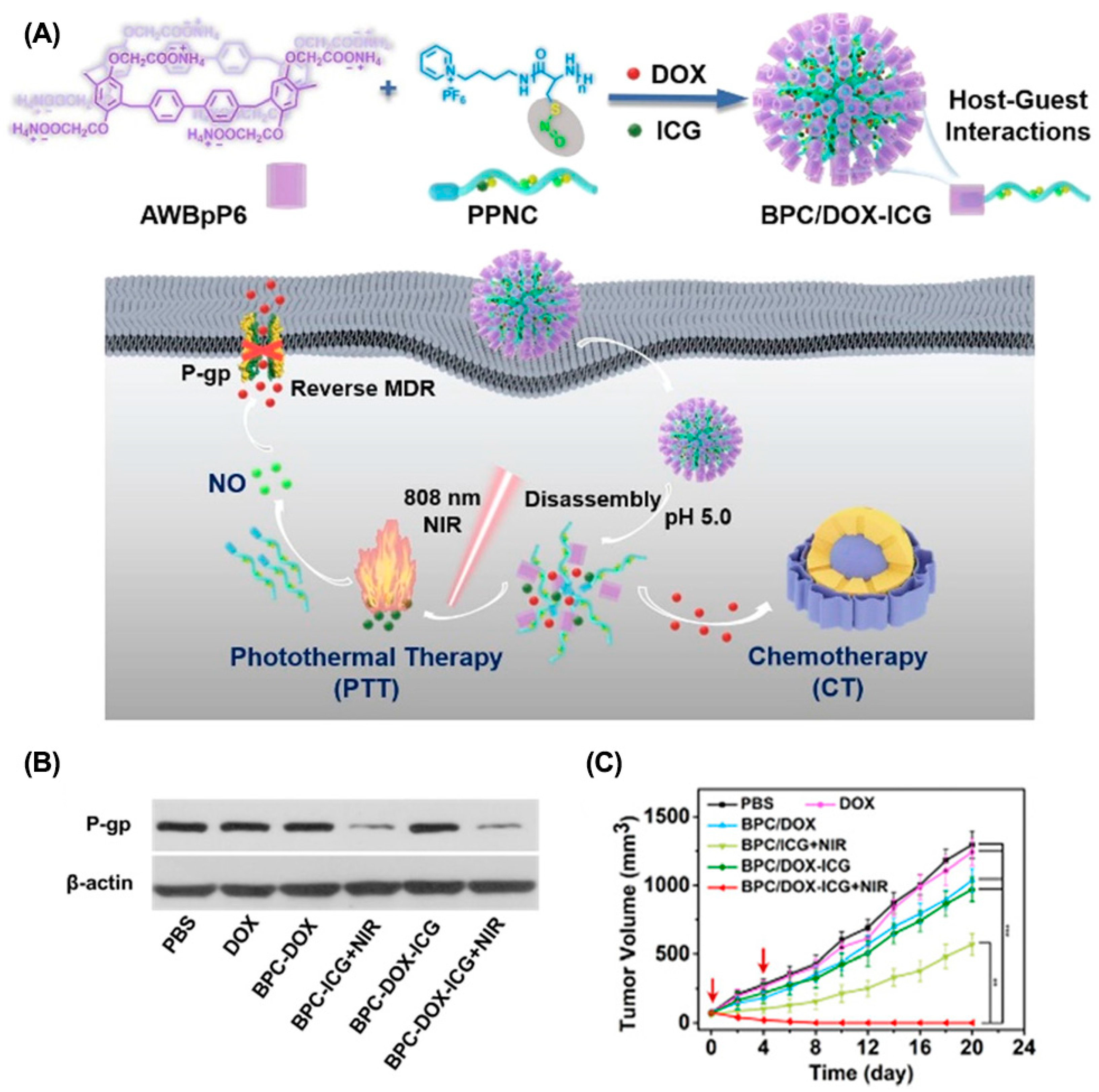 Molecules 28 01241 g011
