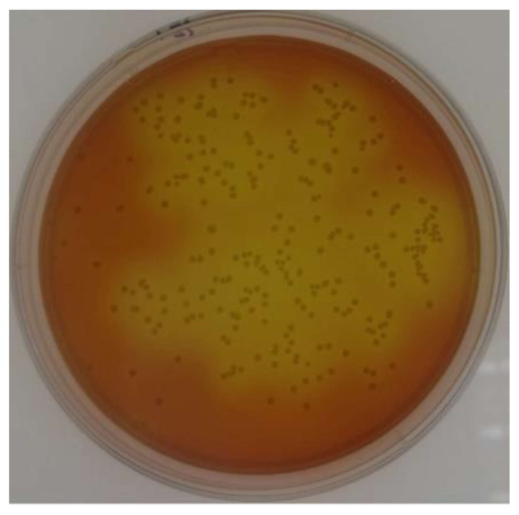 Molecules 28 01245 g001
